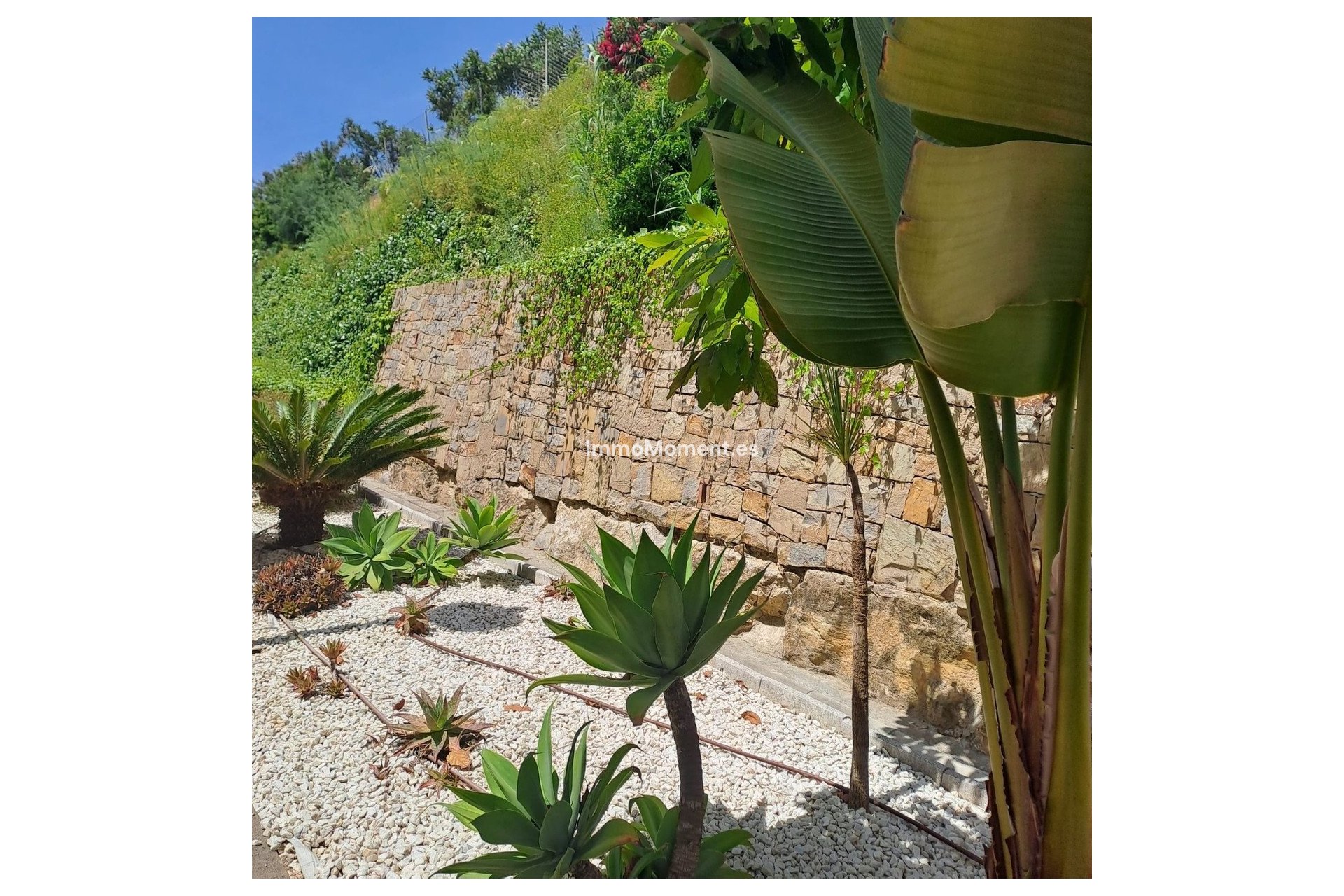 Revente - Appartement - Casares - Casares Playa