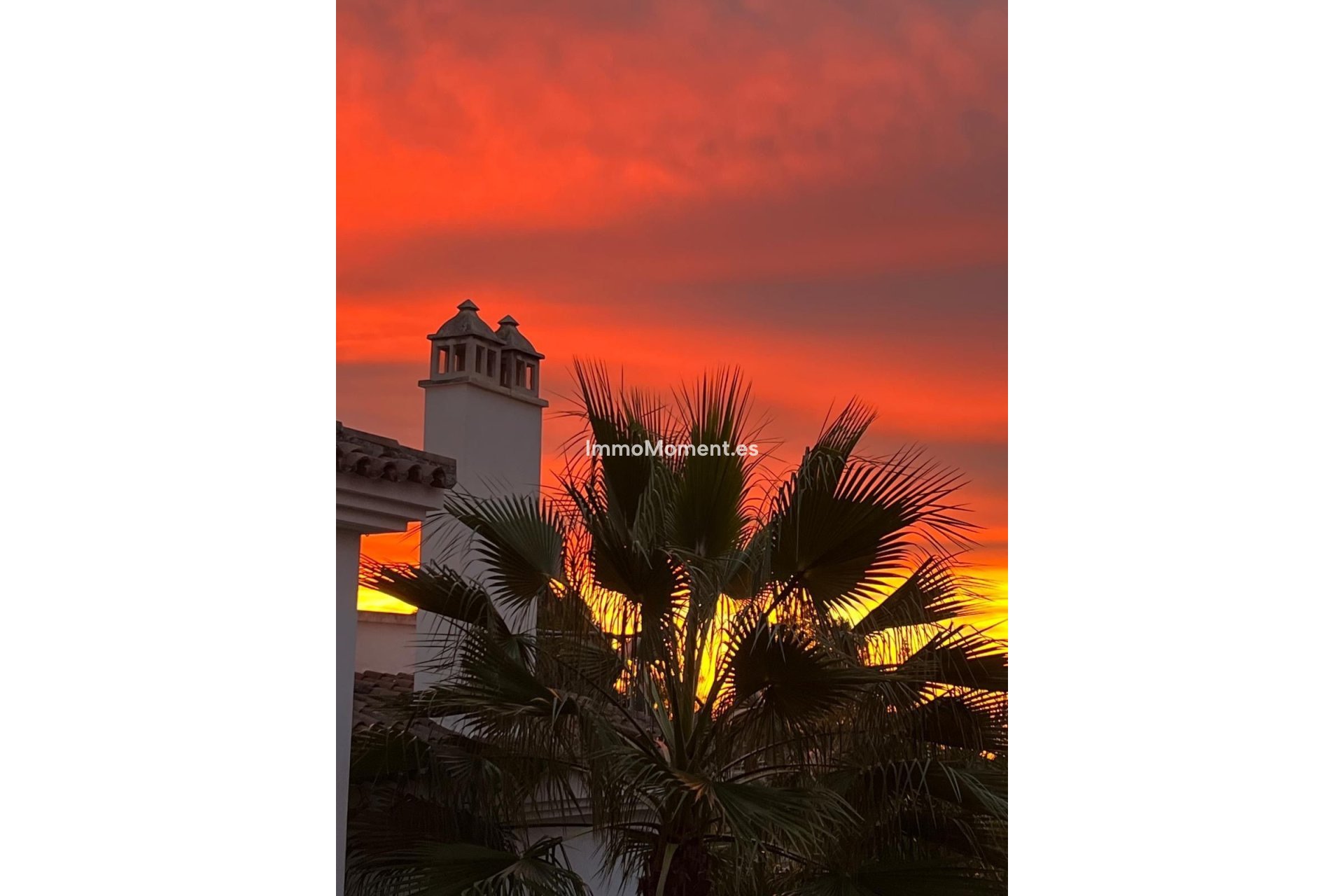 Revente - Appartement - El Paraiso - New Golden Mile