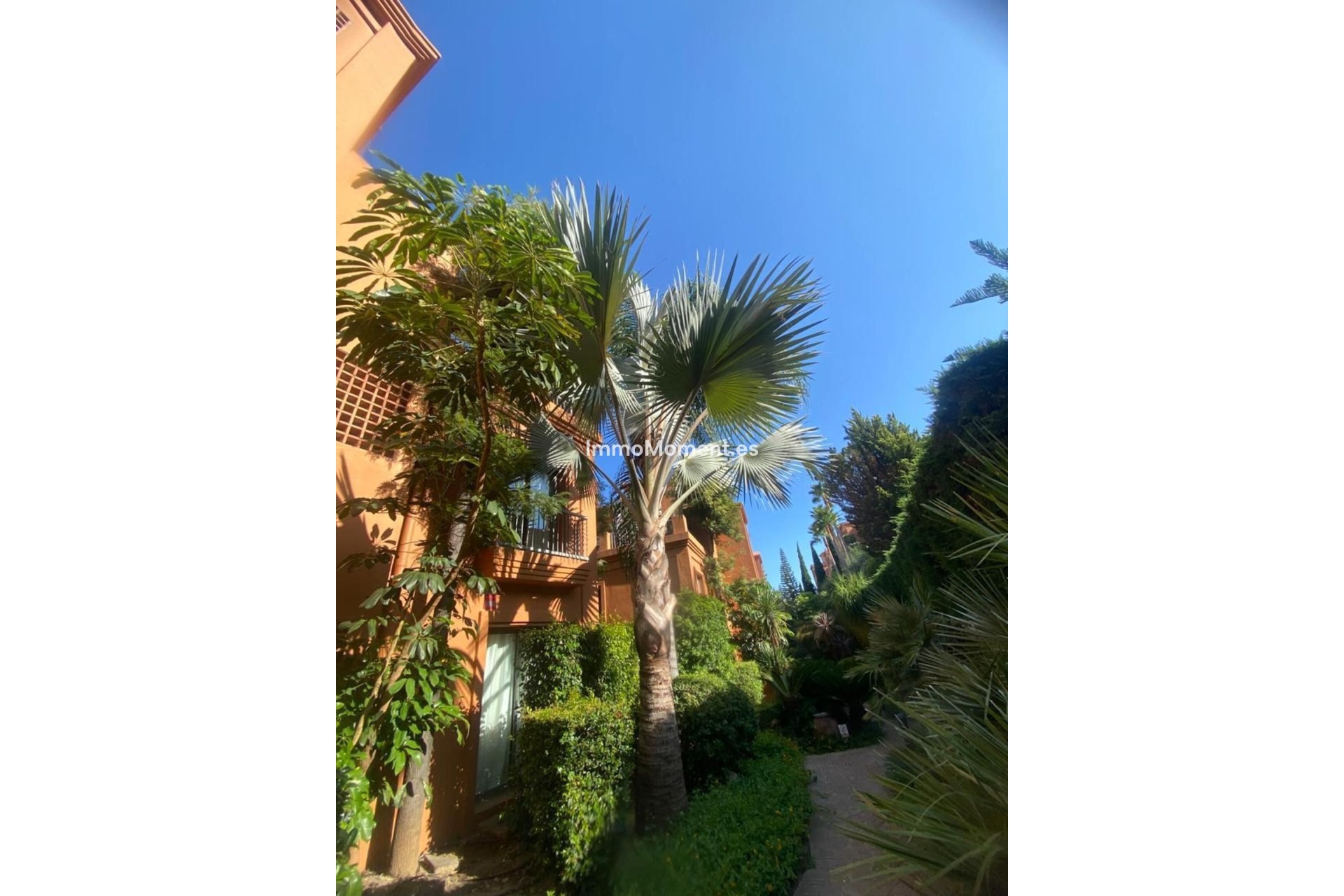 Revente - Appartement - Estepona  - Atalaya