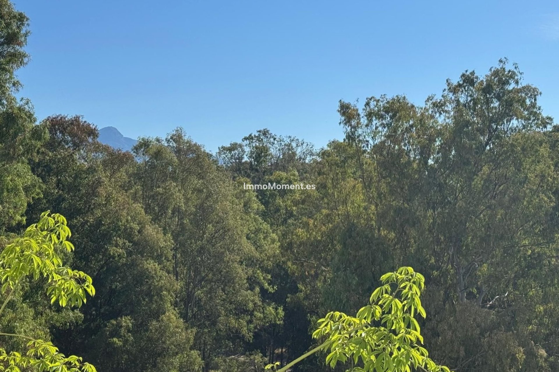Revente - Appartement - Estepona  - Atalaya