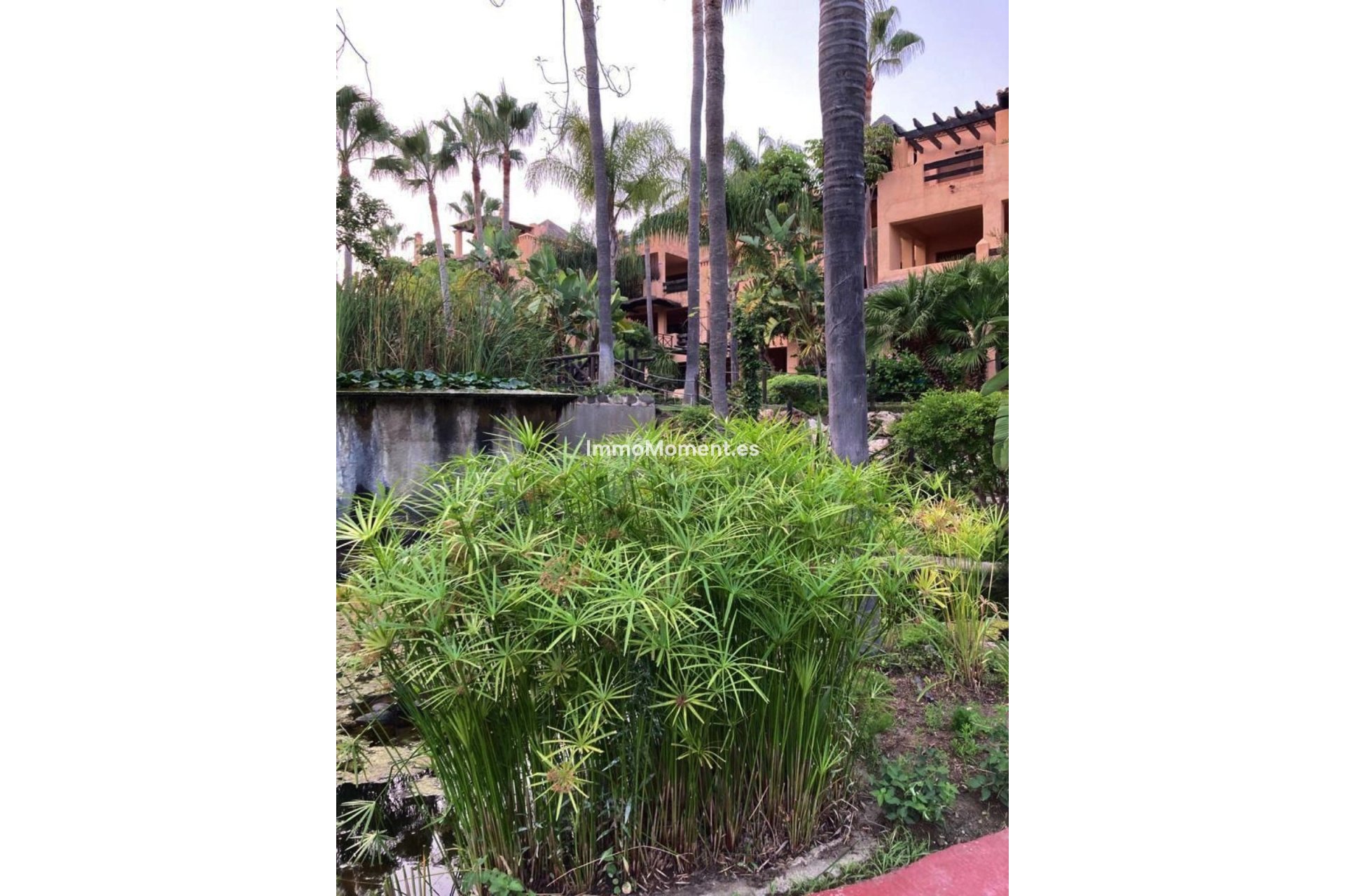 Revente - Appartement - Estepona  - Atalaya