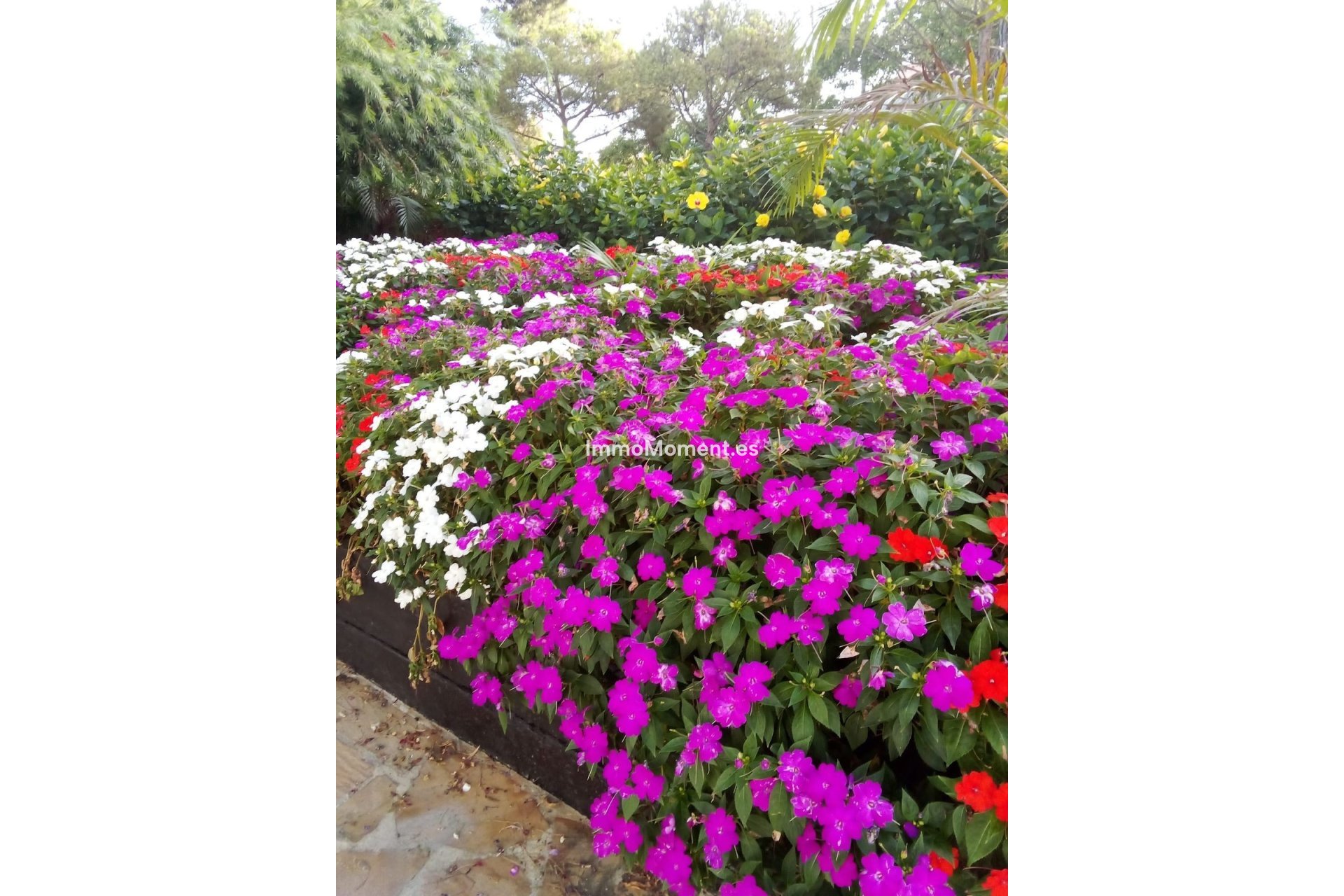 Revente - Appartement - Estepona  - El Presidente