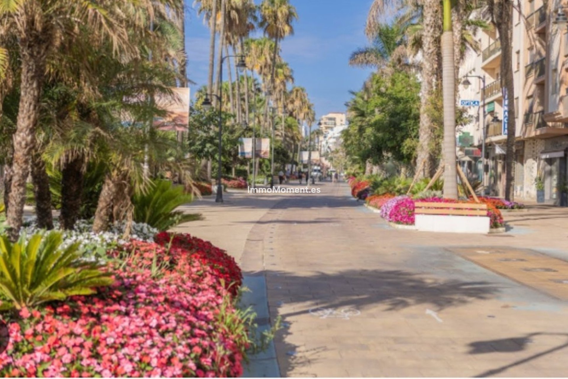 Revente - Appartement - Estepona  - Estepona Centro