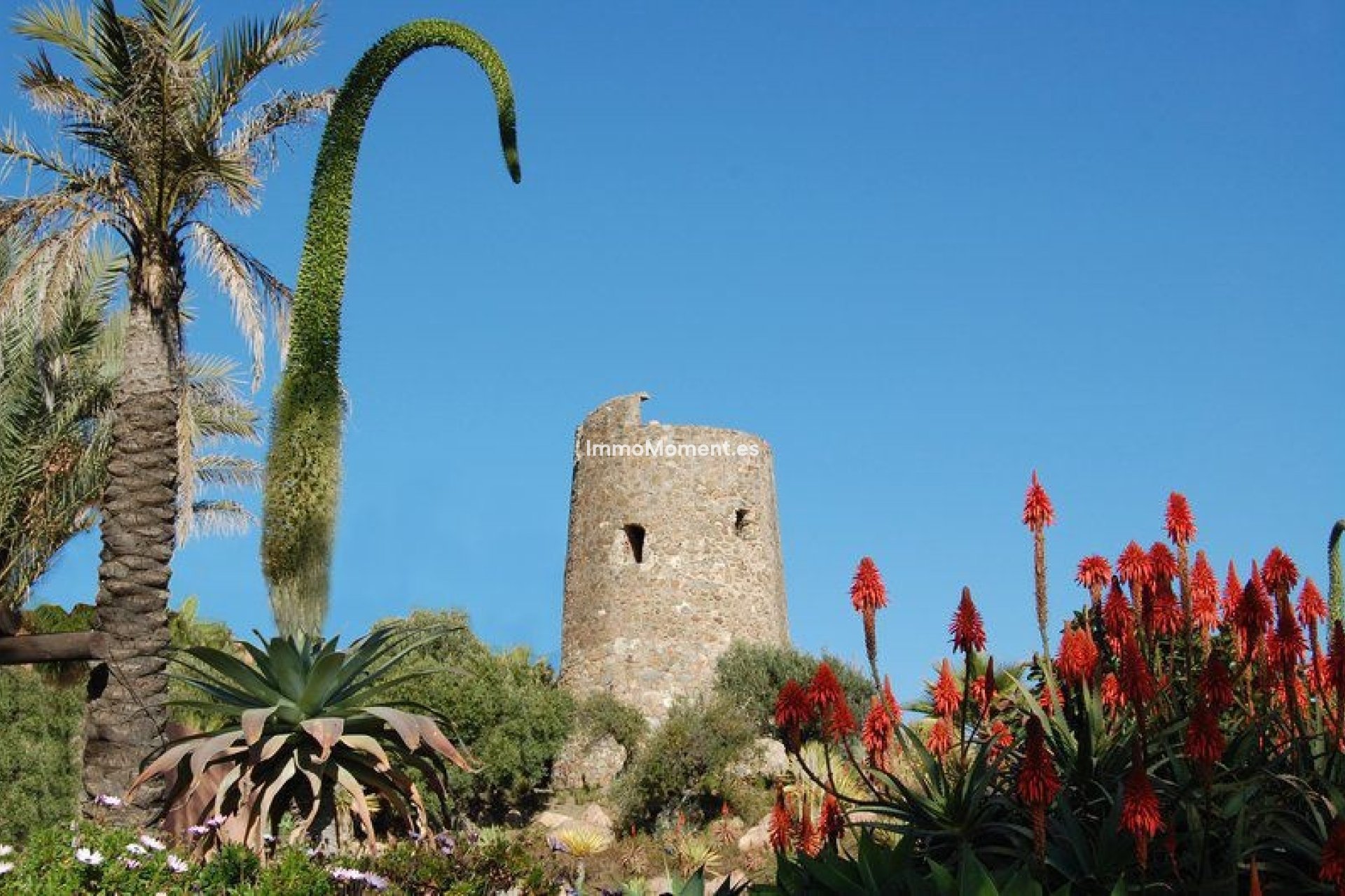Revente - Appartement - Estepona  - Estepona Centro