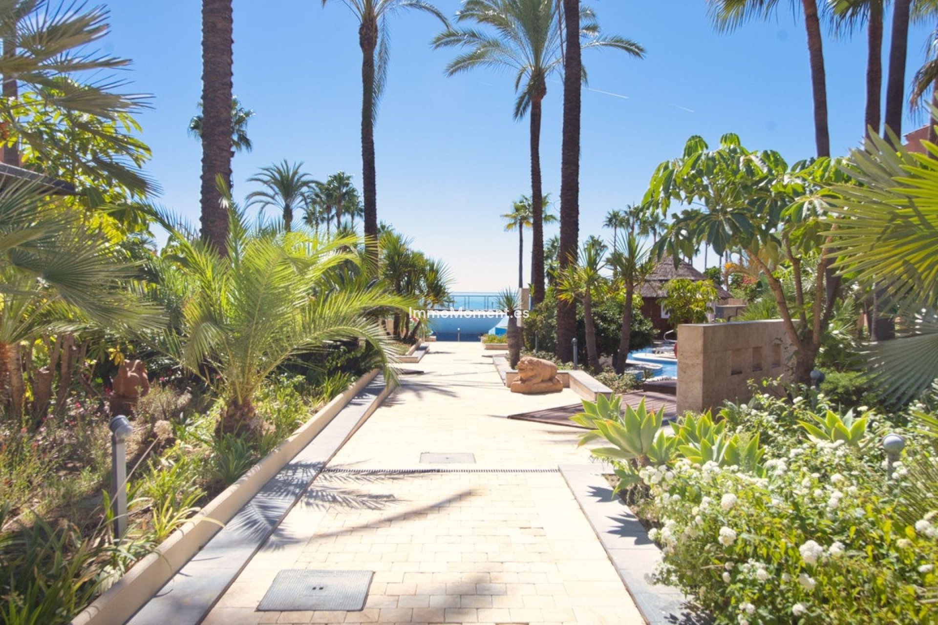 Revente - Appartement - Estepona  - Estepona Centro