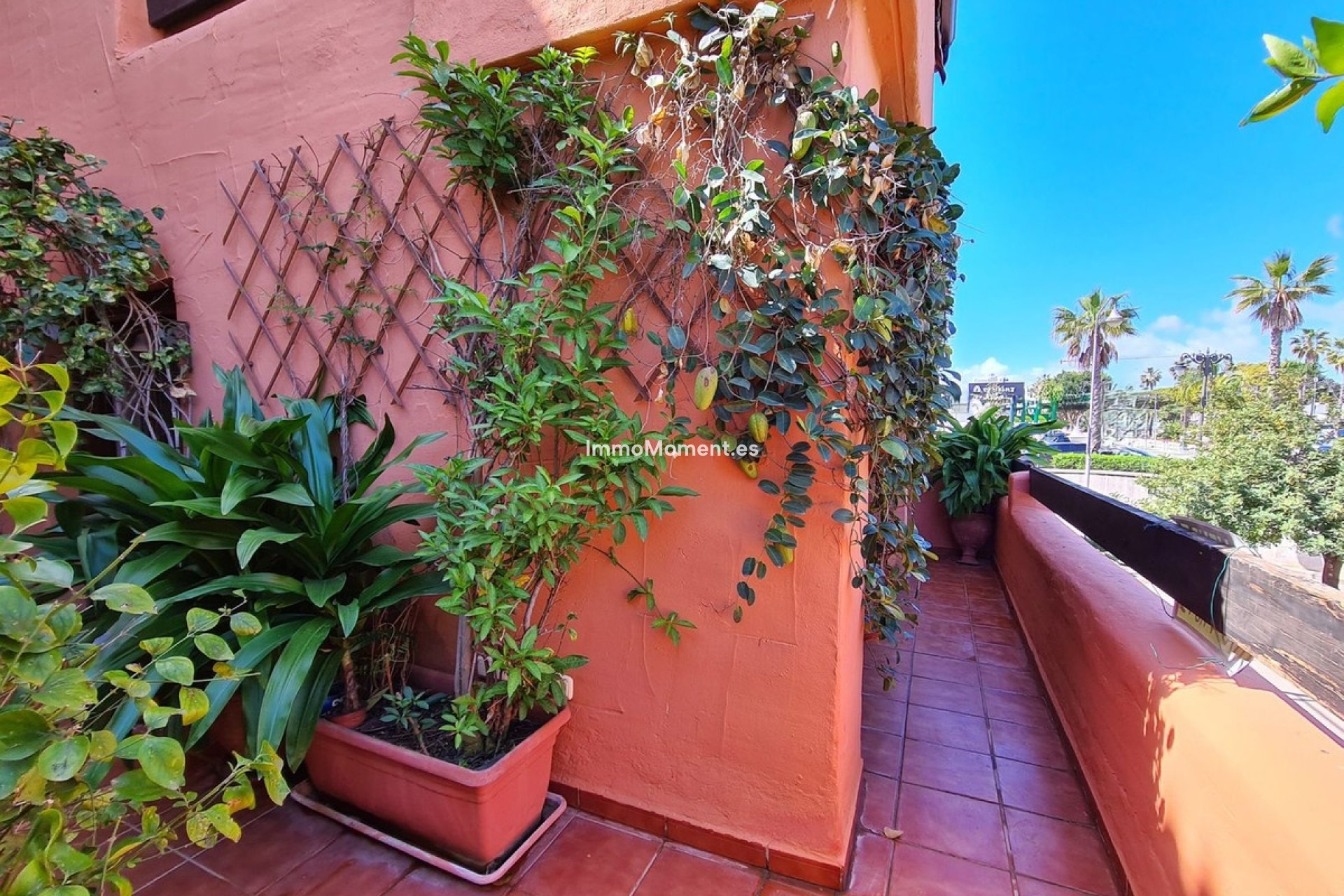 Revente - Appartement - Estepona  - Estepona Centro