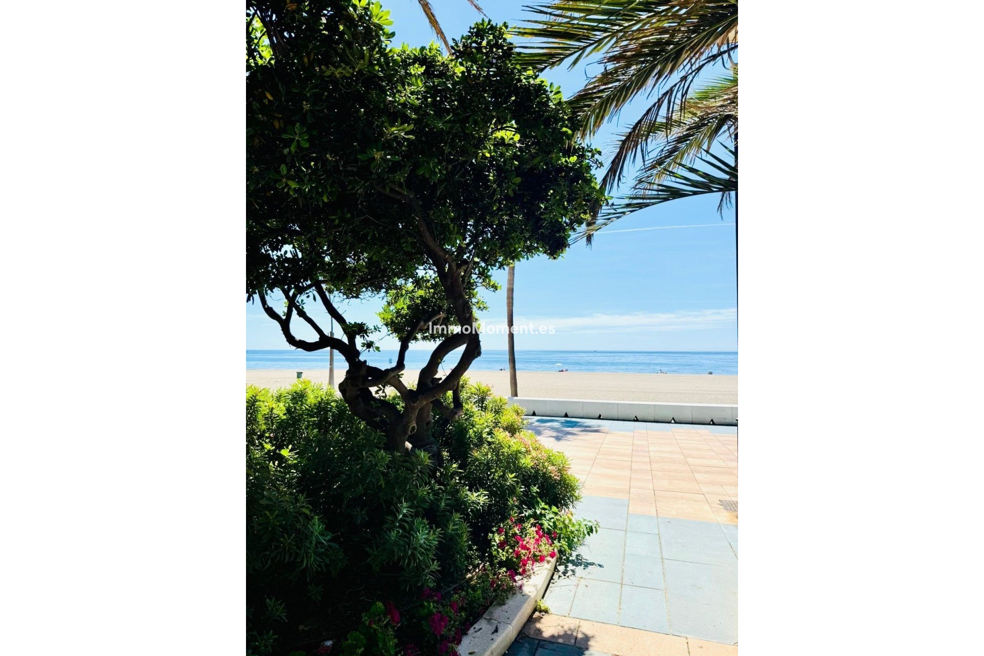 Revente - Appartement - Estepona  - Estepona Centro