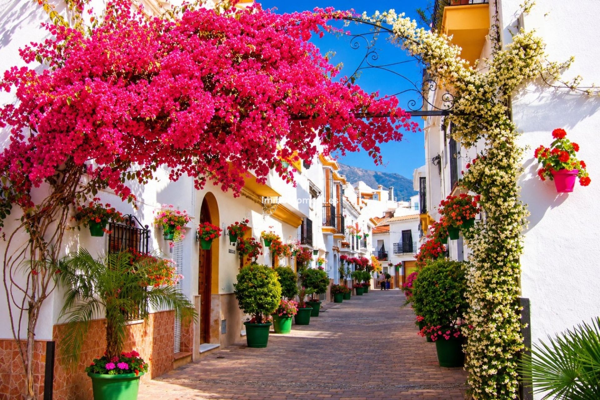 Revente - Appartement - Estepona  - Estepona Centro