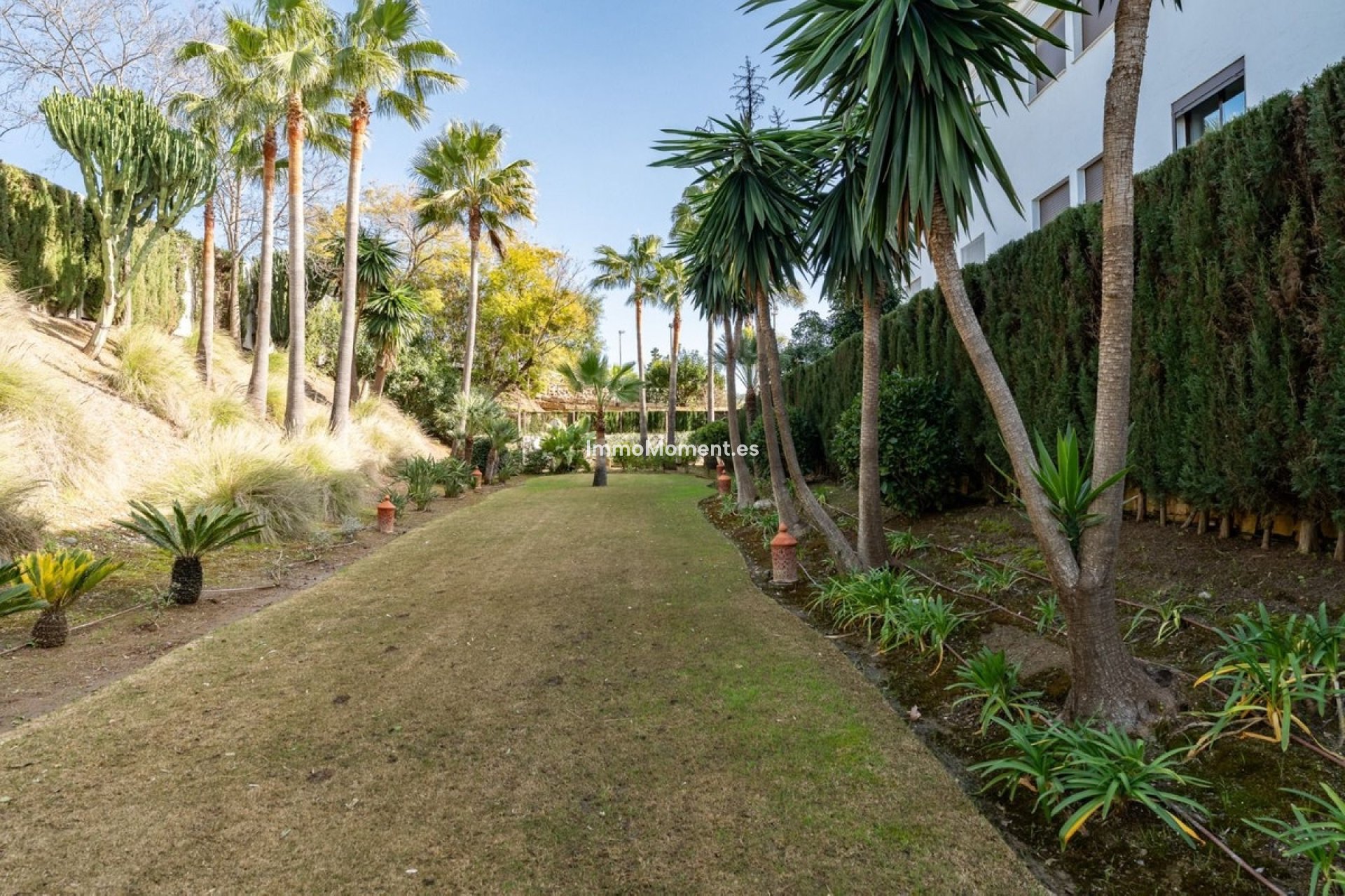 Revente - Appartement - Estepona  - Estepona Centro