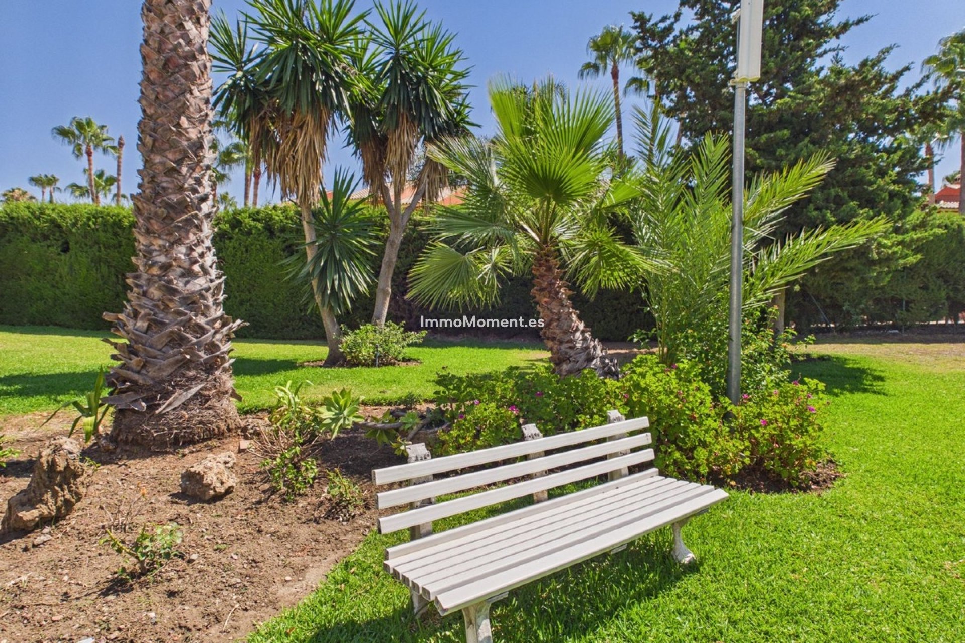Revente - Appartement - Estepona  - Estepona Centro