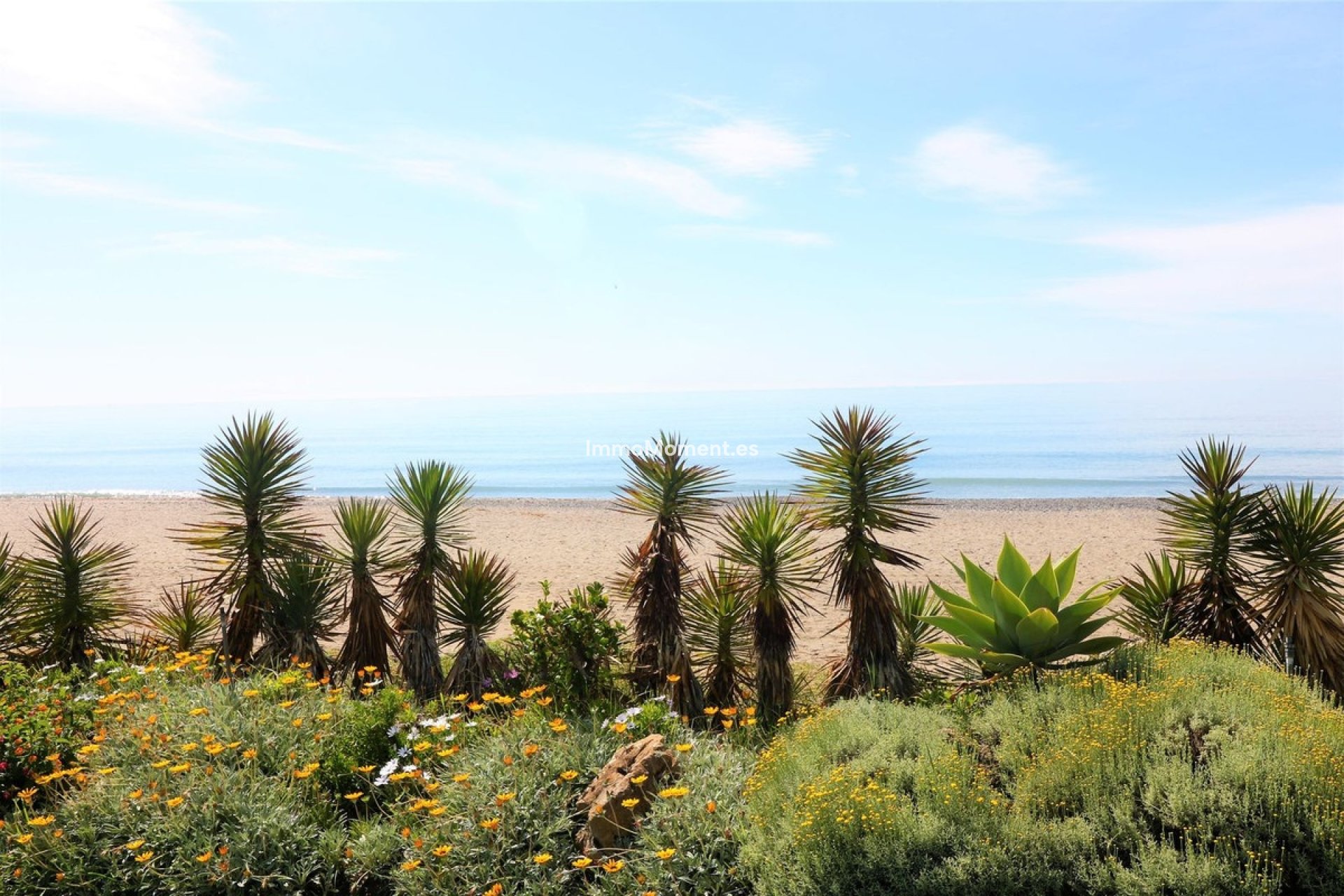 Revente - Appartement - Estepona  - New Golden Mile