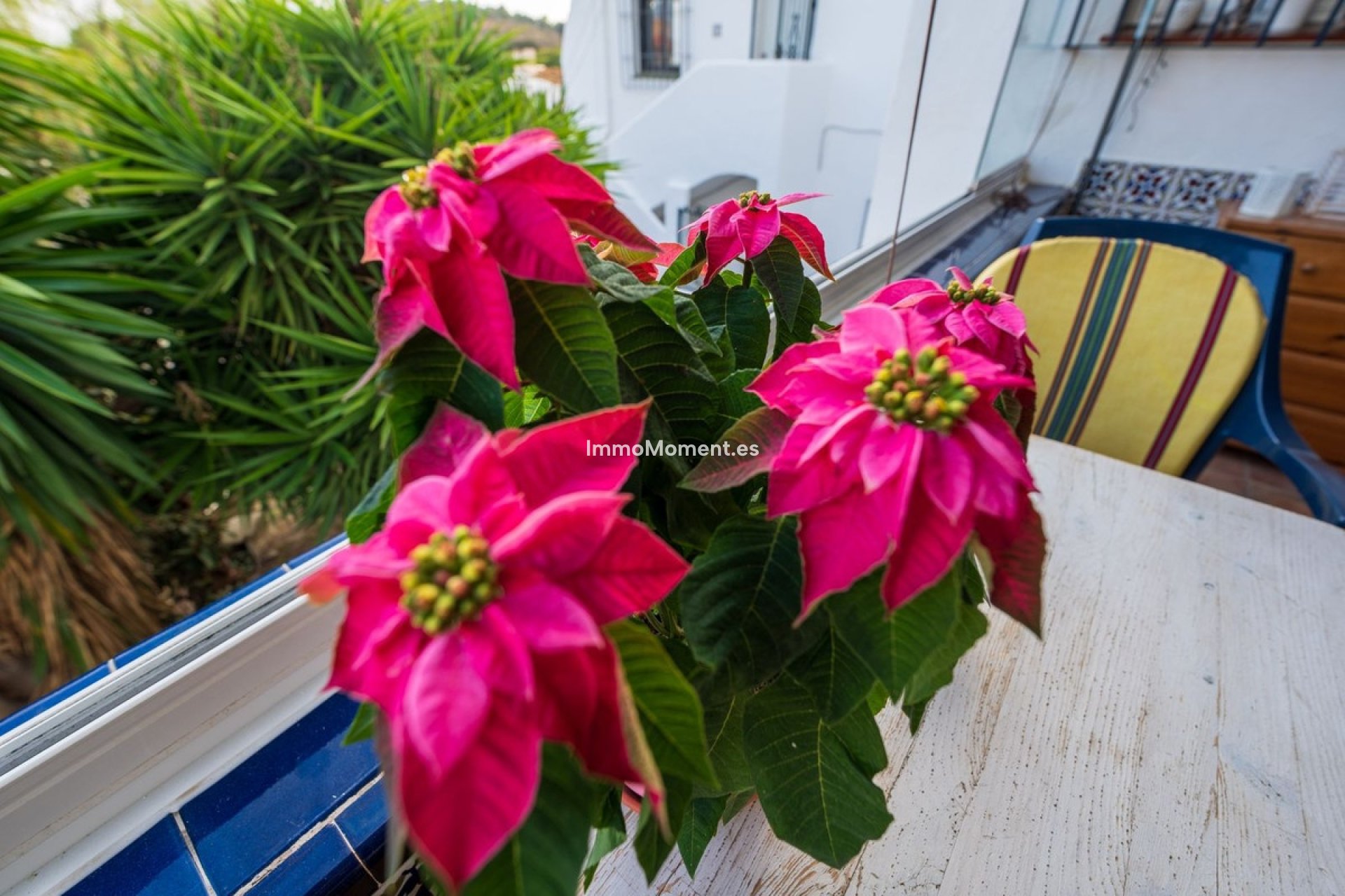 Revente - Appartement - Fuengirola - Torreblanca