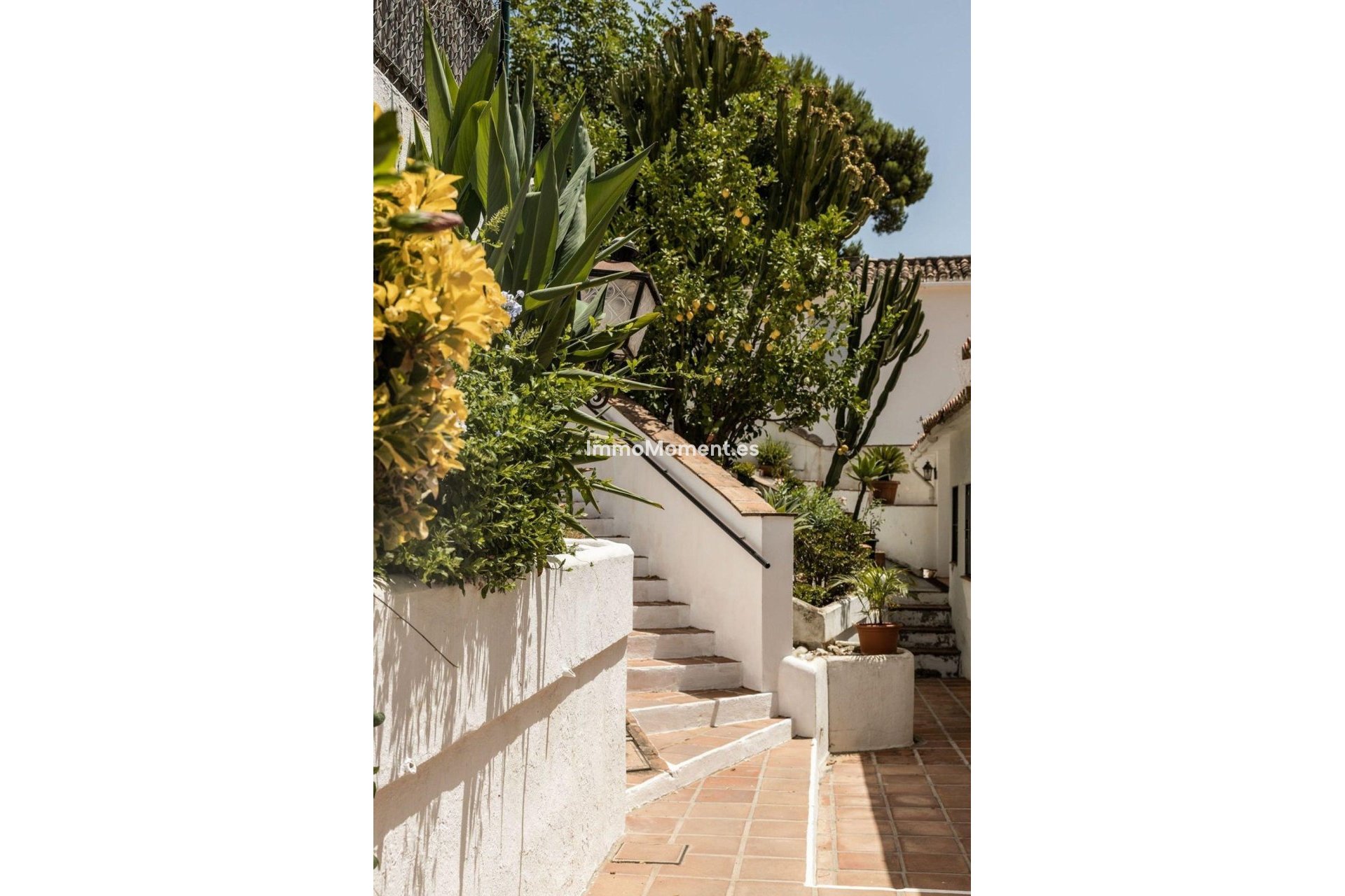 Revente - Appartement - Intérieur                       - Istán