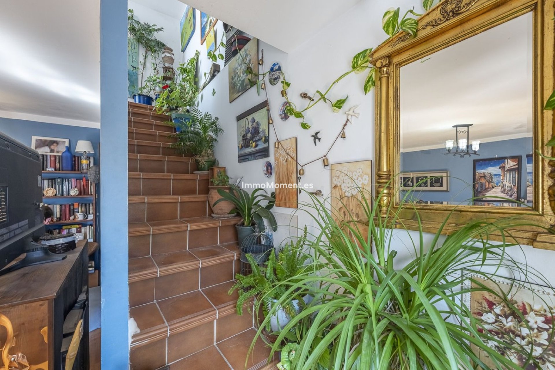 Revente - Appartement - Intérieur                       - Ojén