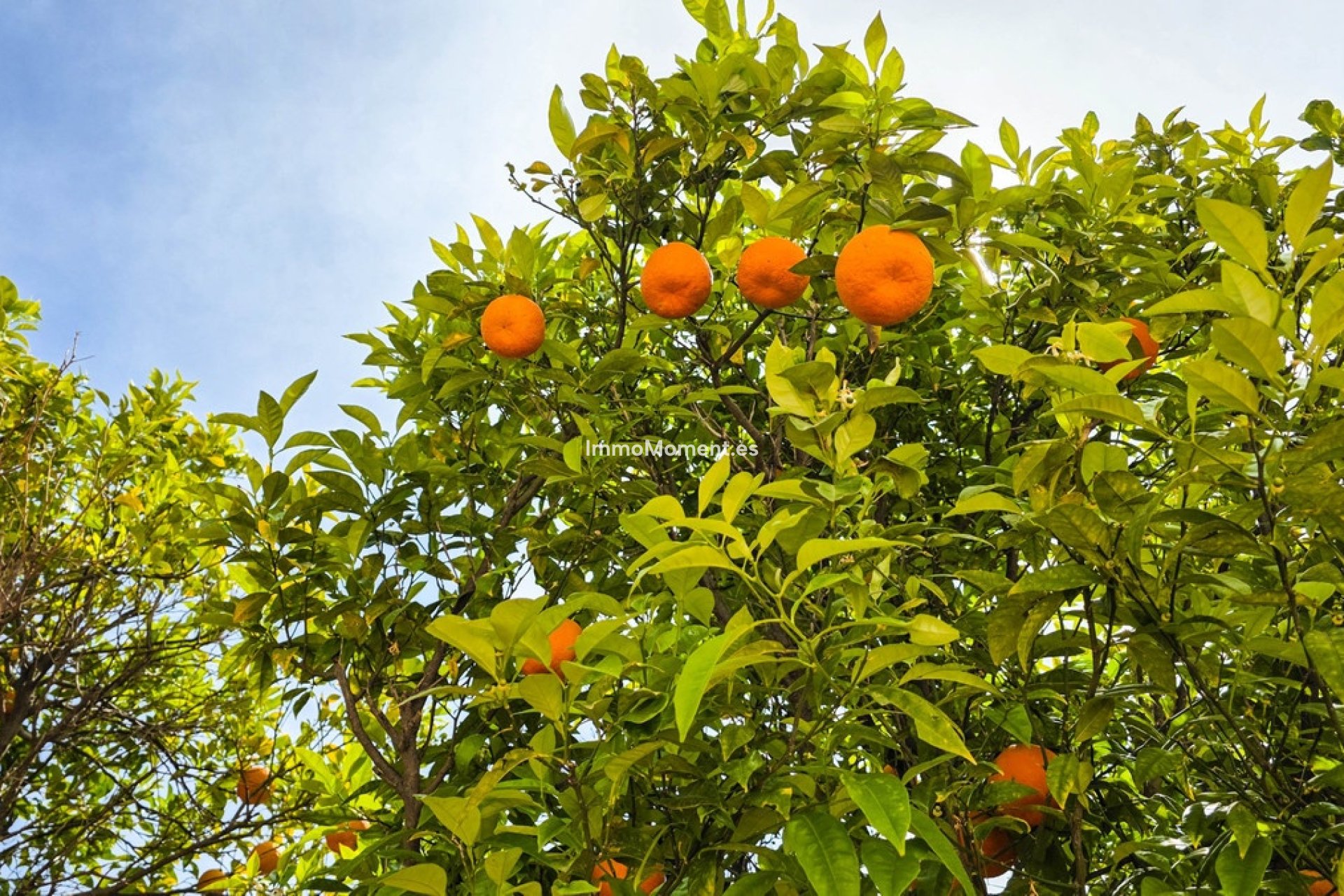 Revente - Appartement - Manilva - La Duquesa