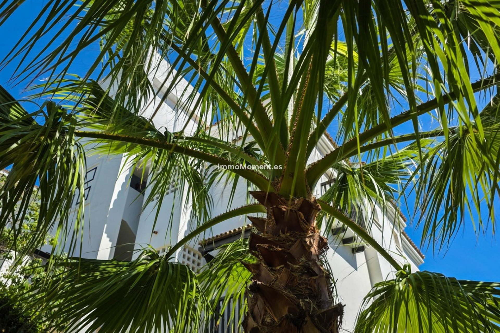 Revente - Appartement - Manilva - San Luis de Sabinillas