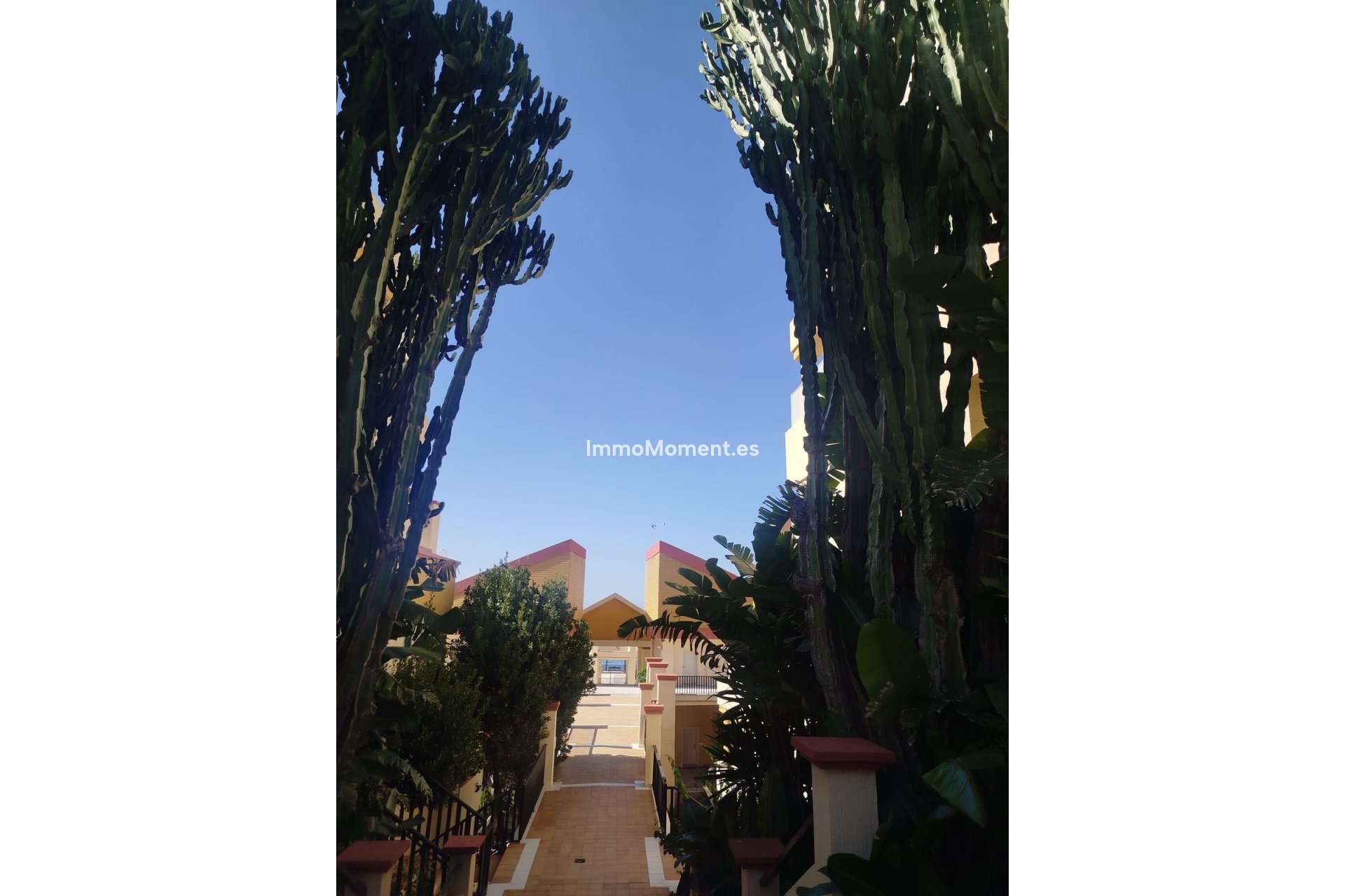 Revente - Appartement - Marbella - Elviria