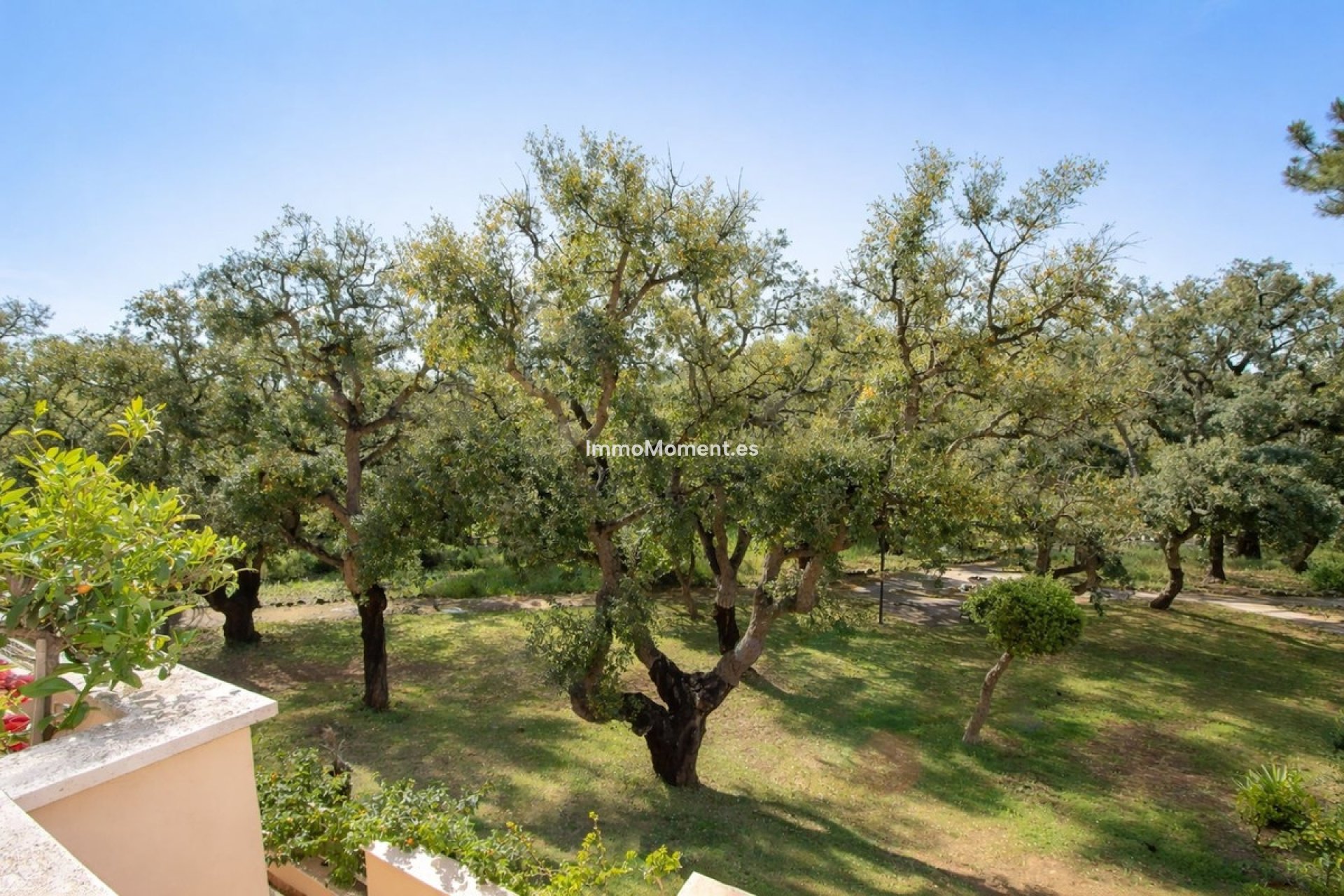 Revente - Appartement - Marbella - Elviria