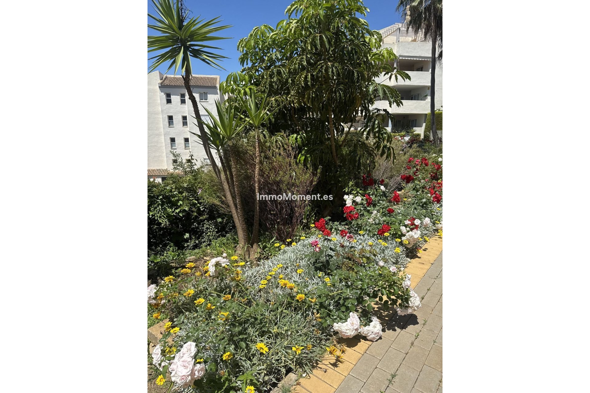 Revente - Appartement - Marbella - Elviria
