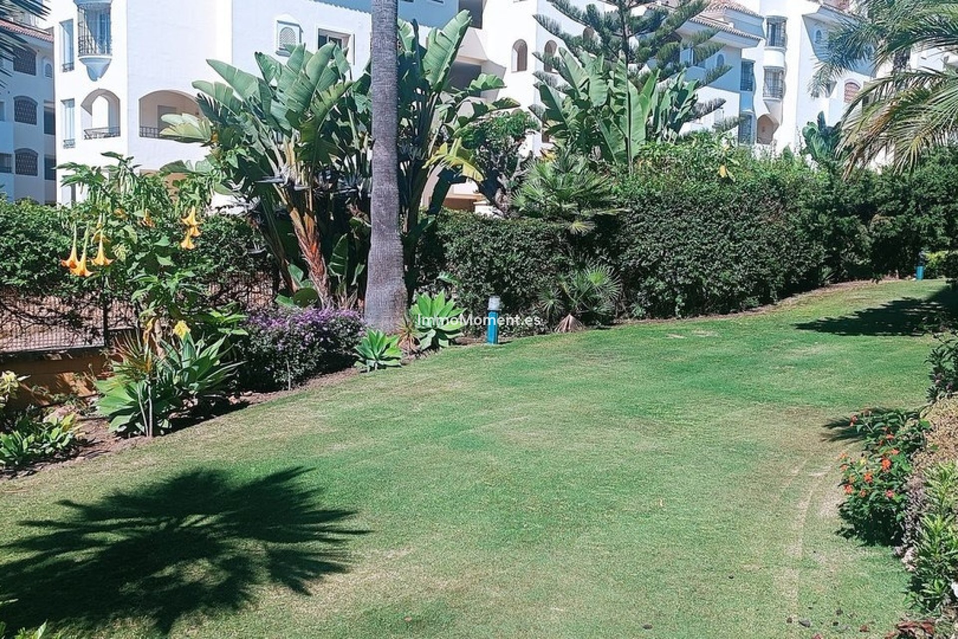 Revente - Appartement - Marbella - Elviria