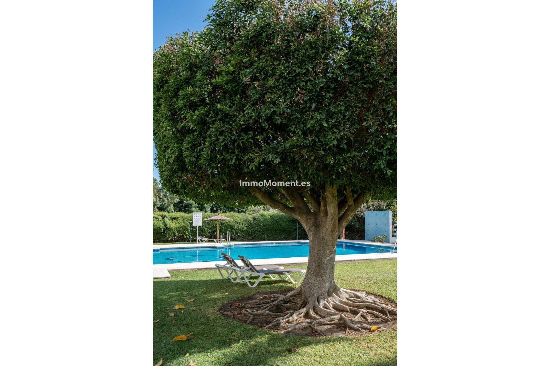 Revente - Appartement - Marbella - Guadalmina Alta