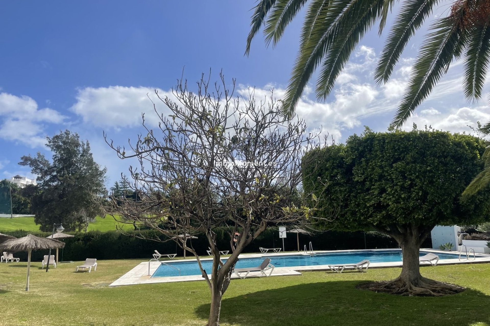 Revente - Appartement - Marbella - Guadalmina Alta