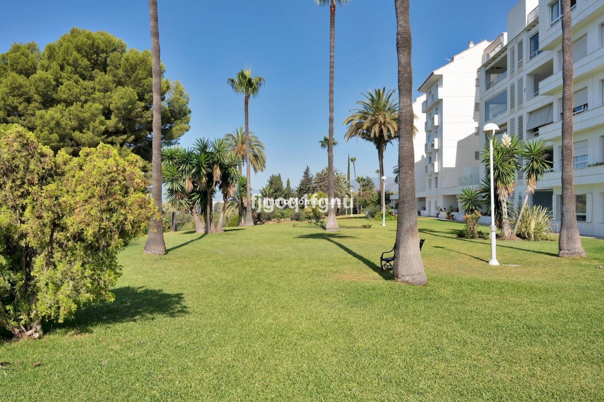Revente - Appartement - Marbella - Marbella Centro