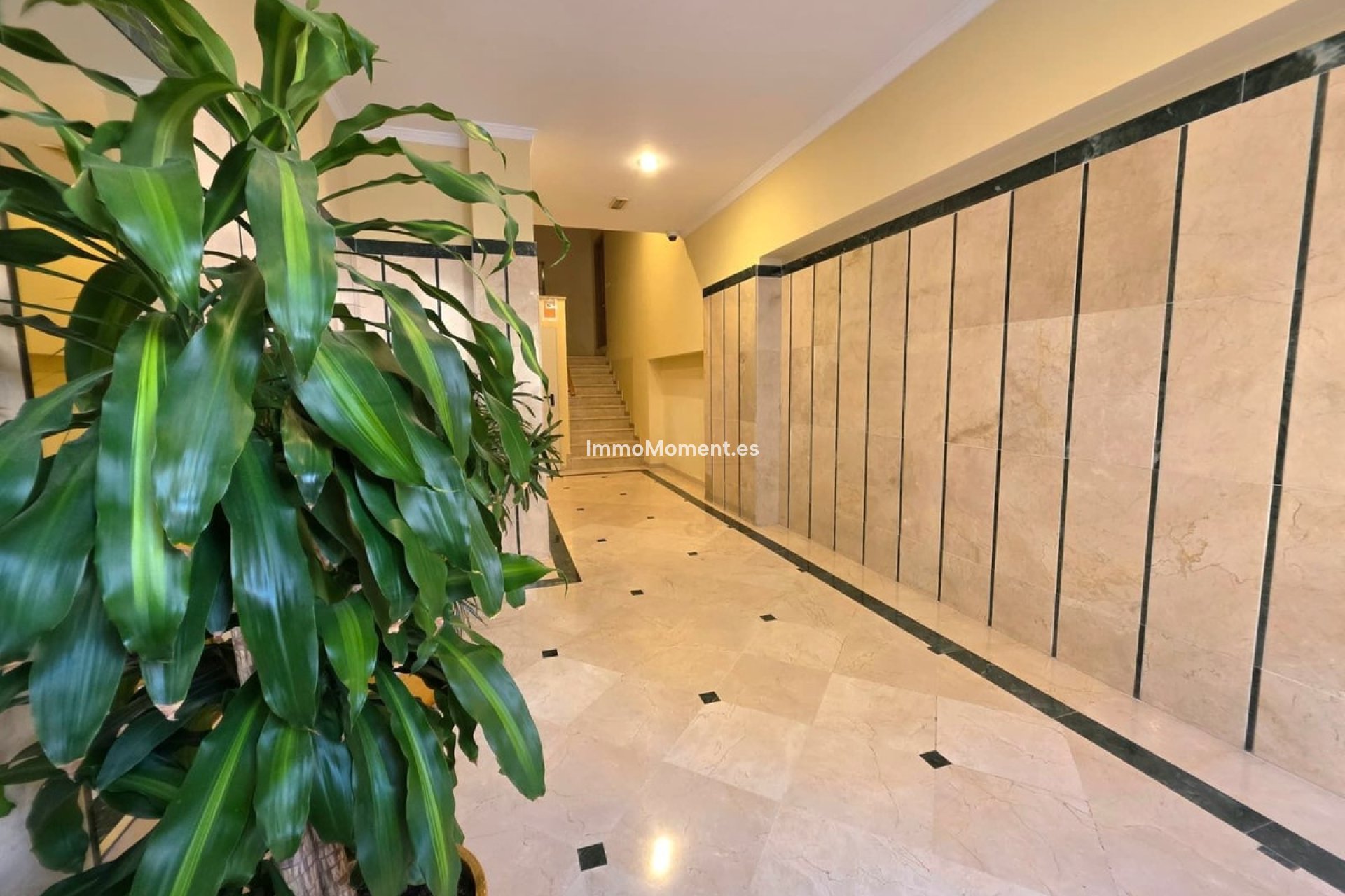 Revente - Appartement - Marbella - Marbella Centro
