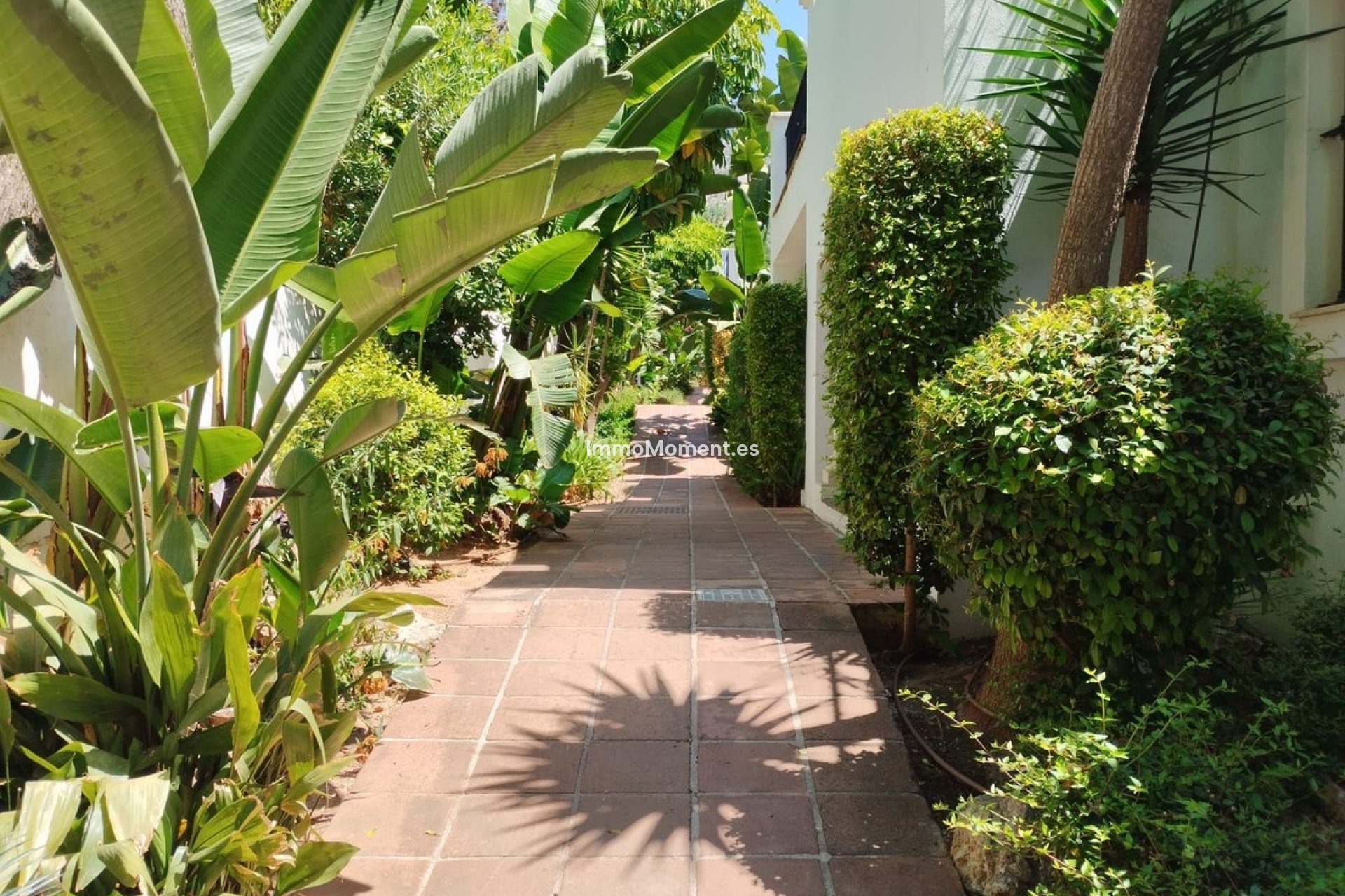 Revente - Appartement - Marbella - Marbella Centro