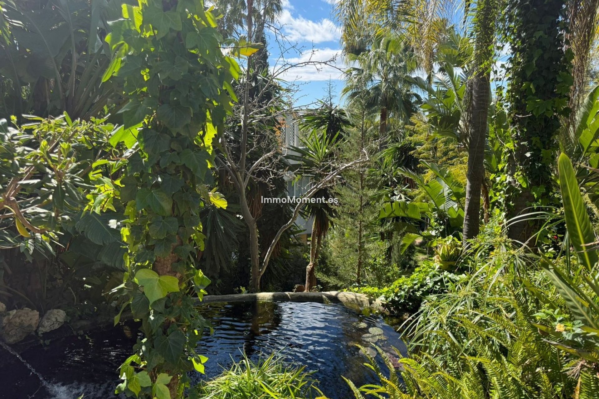 Revente - Appartement - Marbella - Marbella Centro