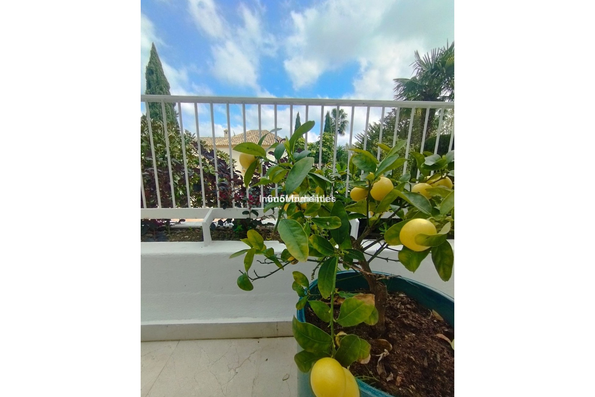 Revente - Appartement - Marbella - Marbella Centro