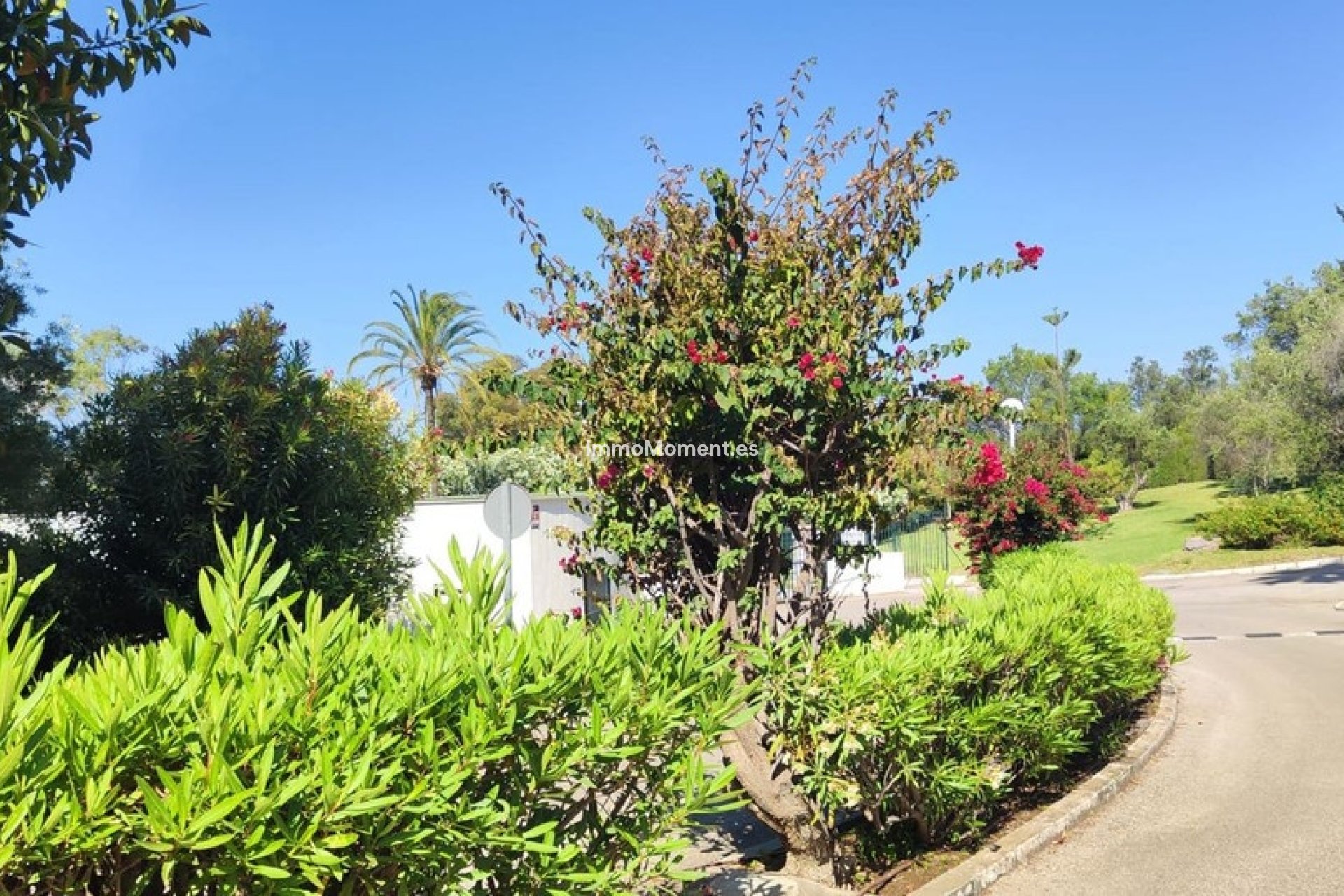 Revente - Appartement - Marbella - Marbella Centro