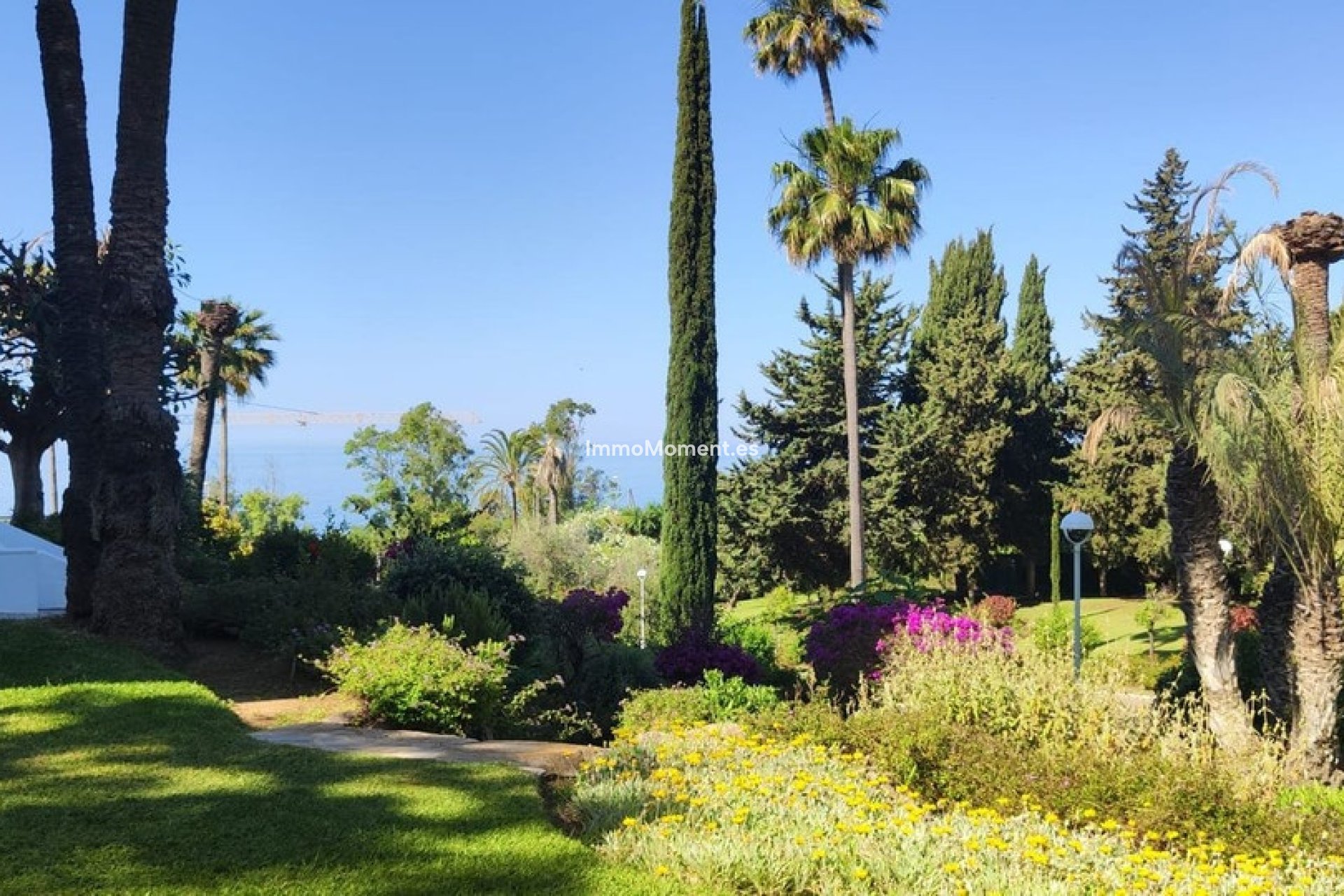 Revente - Appartement - Marbella - Marbella Centro