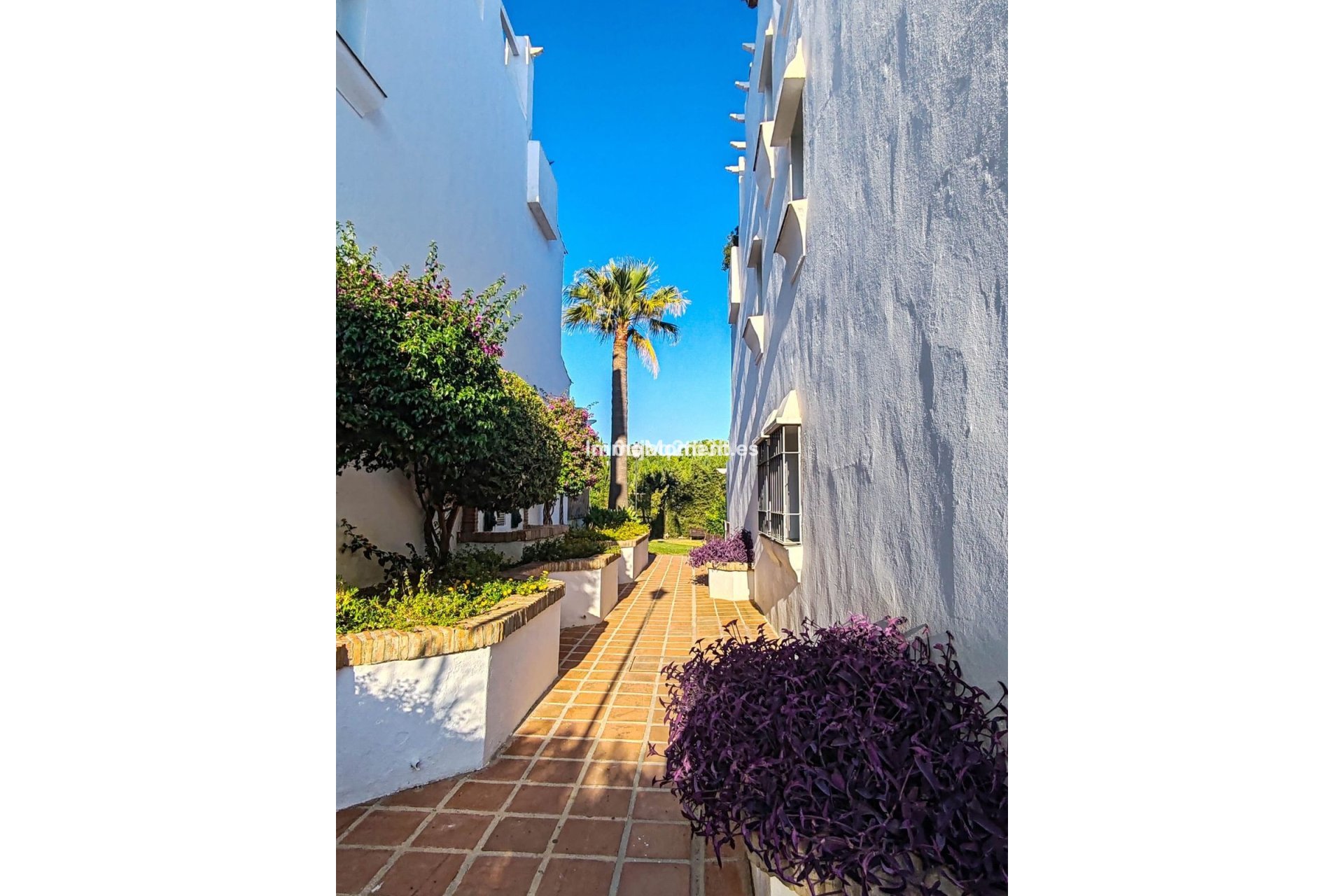 Revente - Appartement - Marbella - Nagüeles