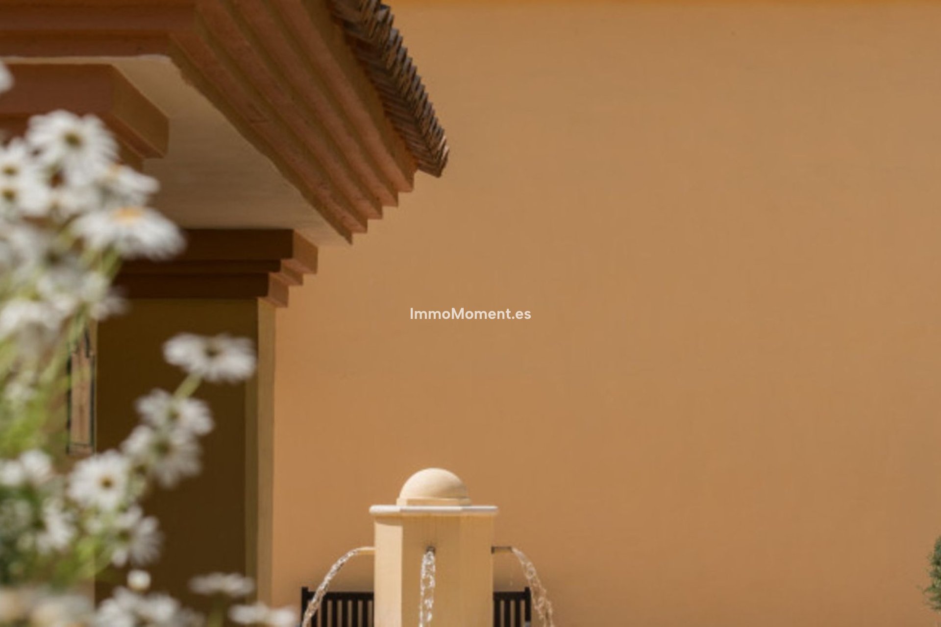 Revente - Appartement - Marbella - Nueva Andalucía