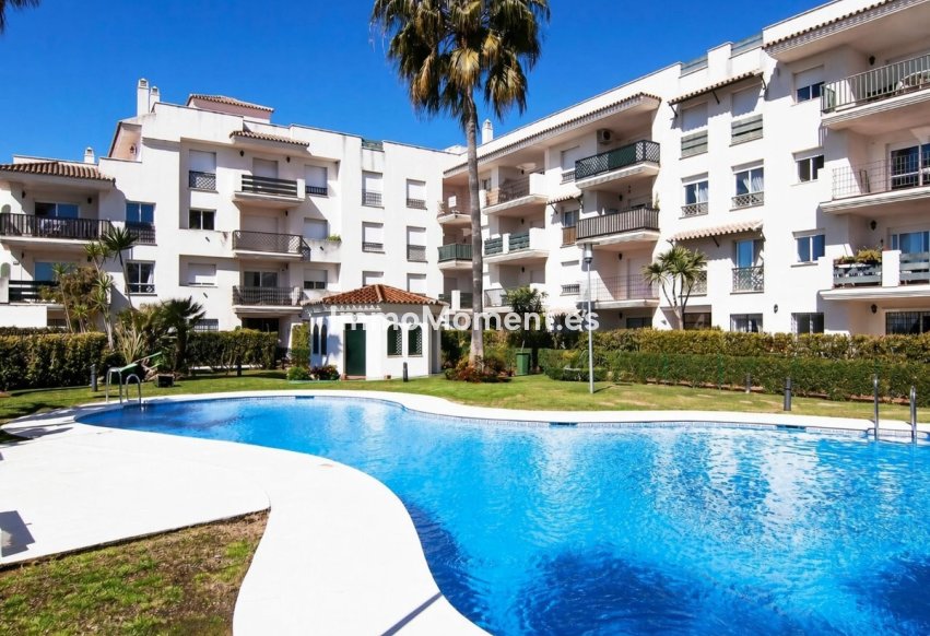 Revente - Appartement - Marbella - Nueva Andalucía