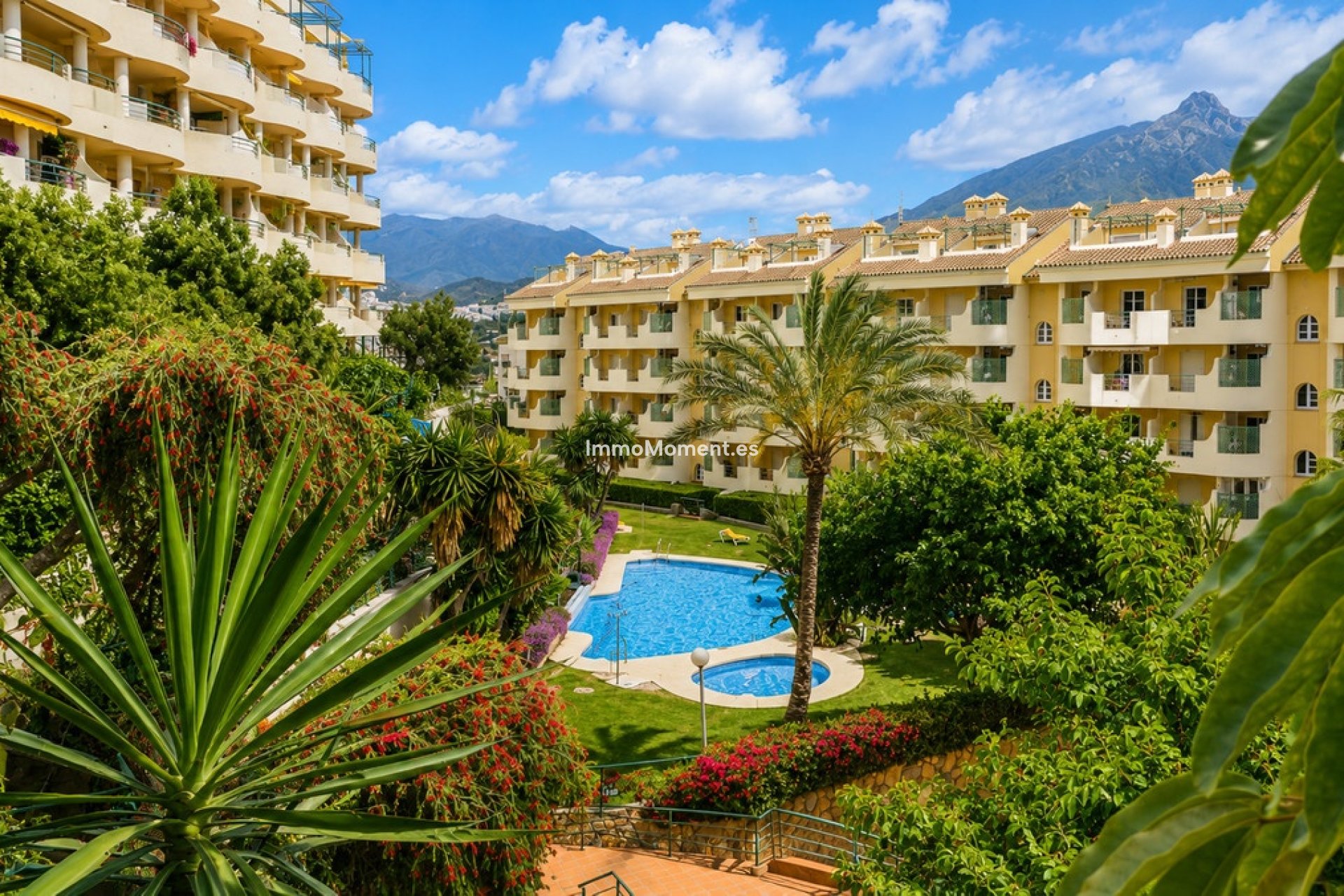 Revente - Appartement - Marbella - Nueva Andalucía