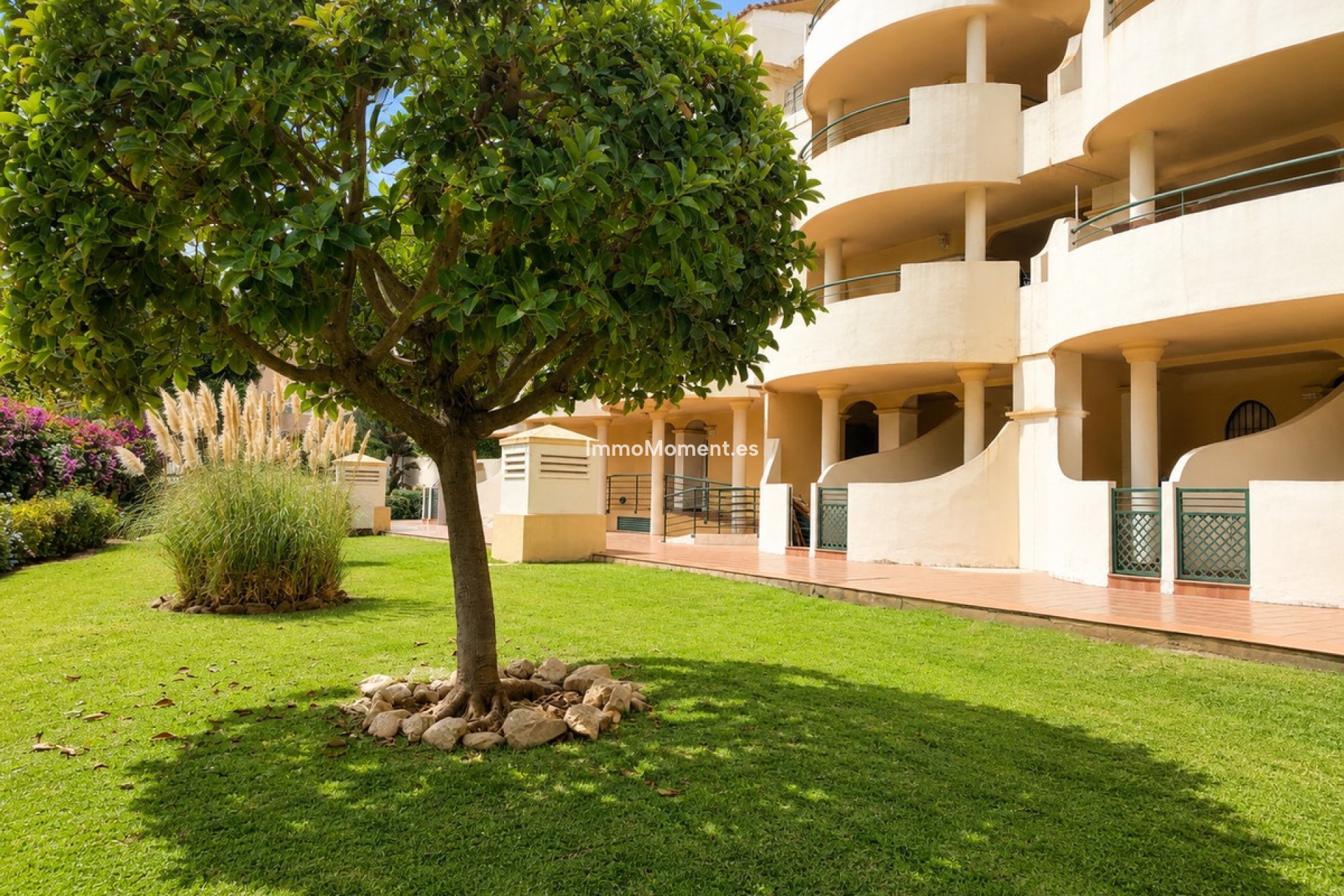 Revente - Appartement - Marbella - Nueva Andalucía