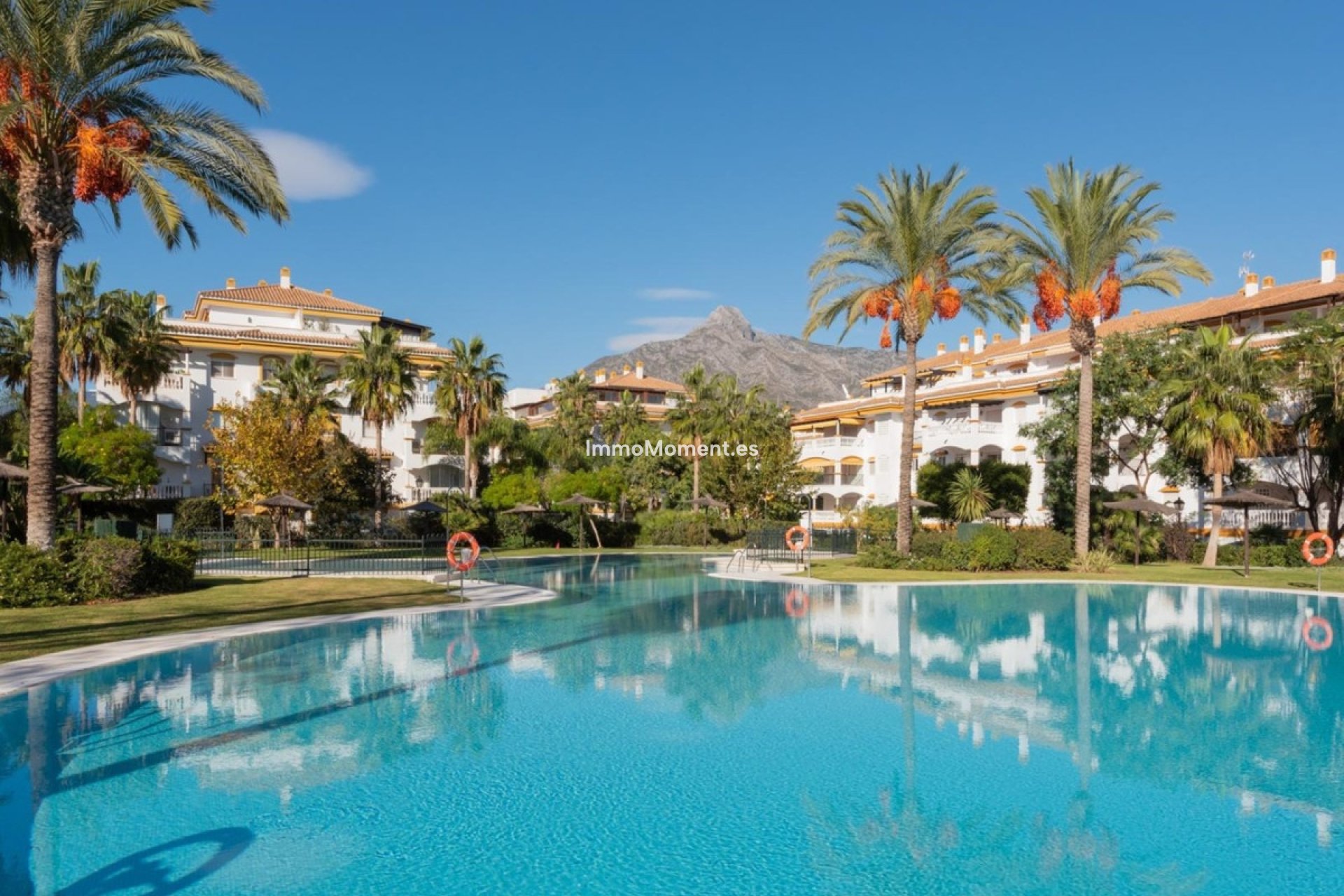 Revente - Appartement - Marbella - Nueva Andalucía