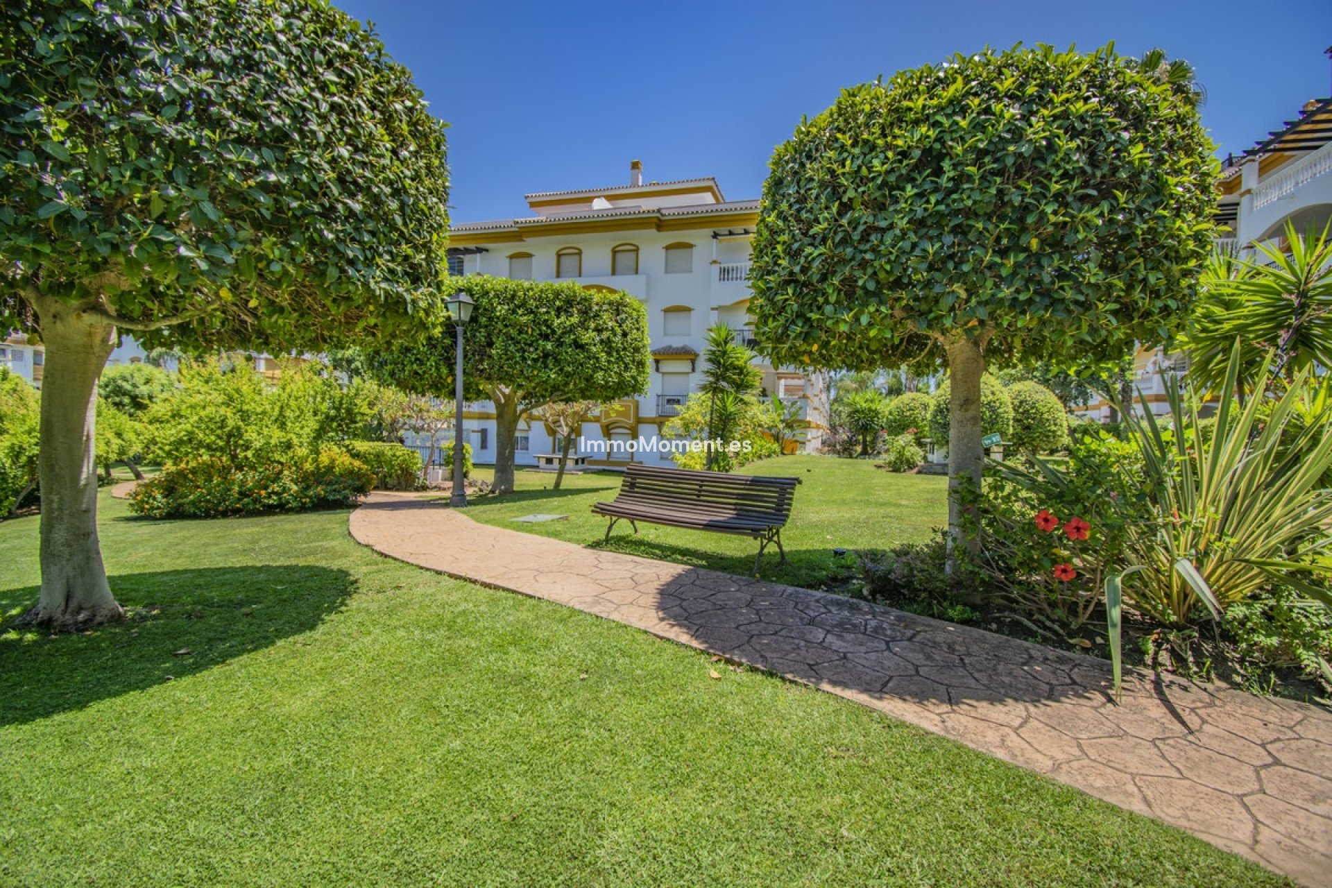 Revente - Appartement - Marbella - Nueva Andalucía