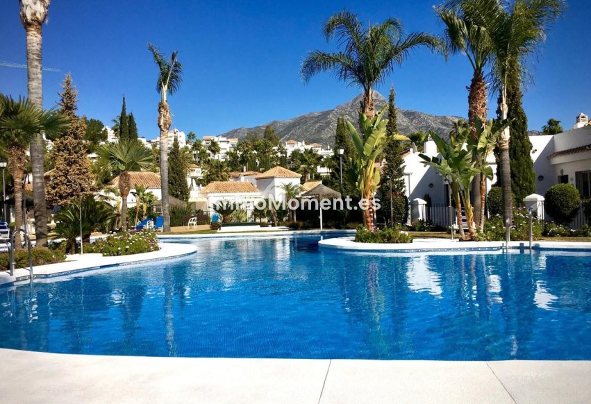 Revente - Appartement - Marbella - Nueva Andalucía
