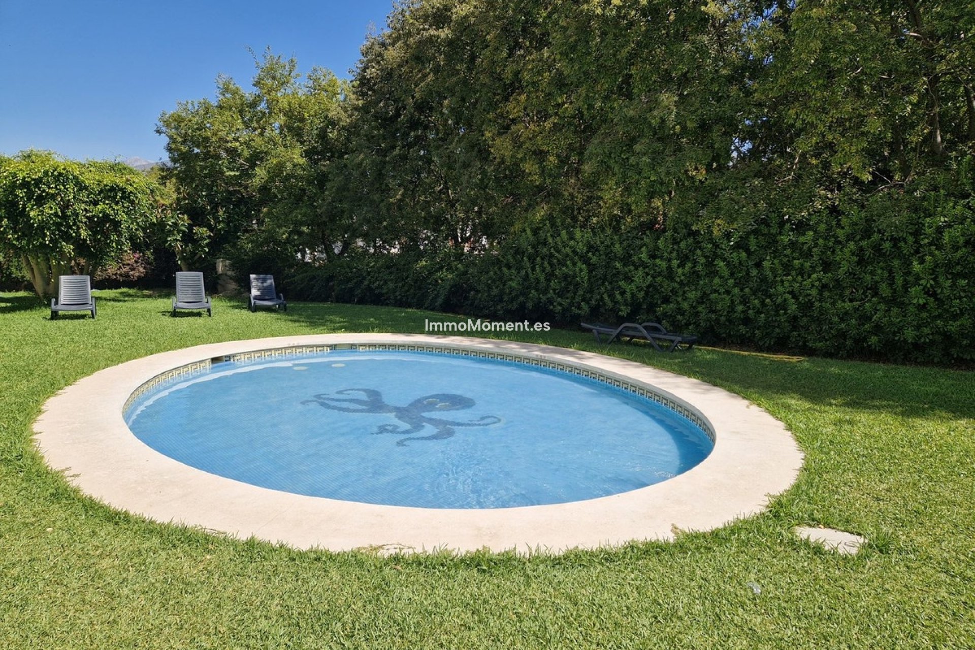 Revente - Appartement - Marbella - Nueva Andalucía