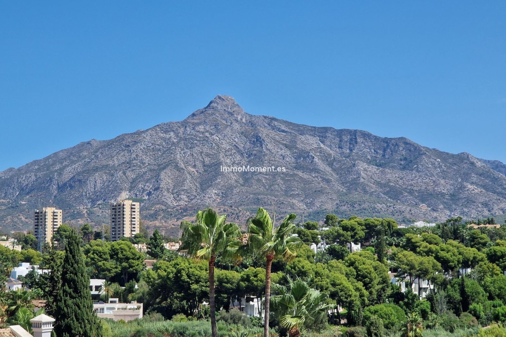 Revente - Appartement - Marbella - Nueva Andalucía