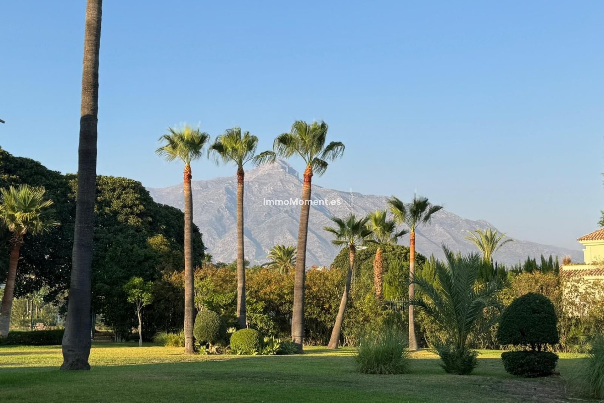 Revente - Appartement - Marbella - Nueva Andalucía