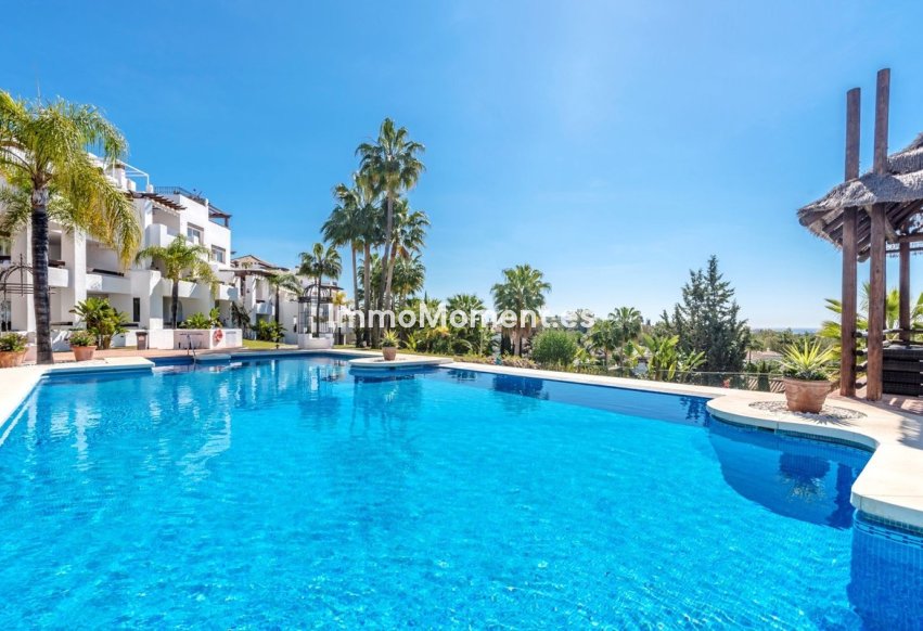 Revente - Appartement - Marbella - Nueva Andalucía