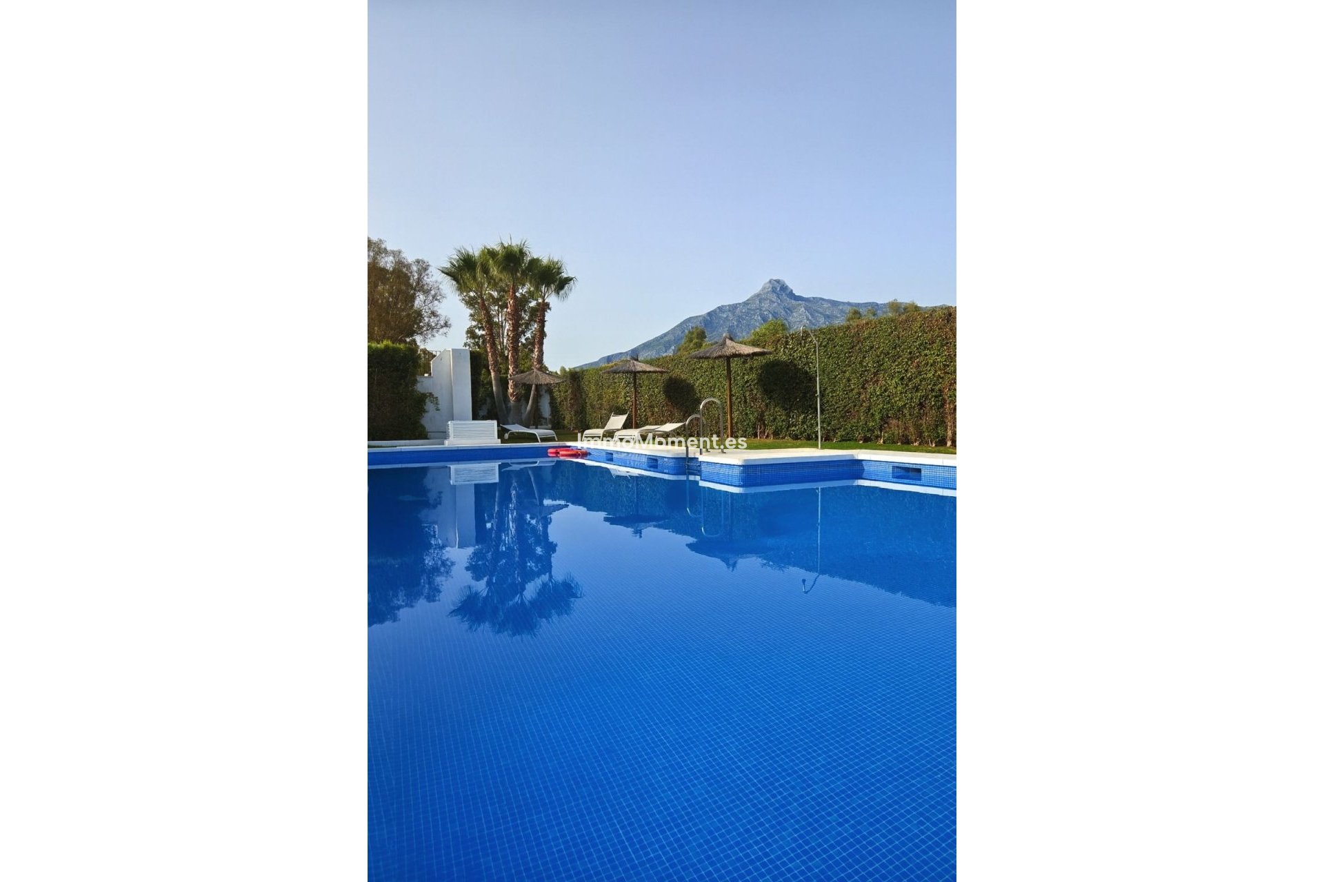 Revente - Appartement - Marbella - Nueva Andalucía