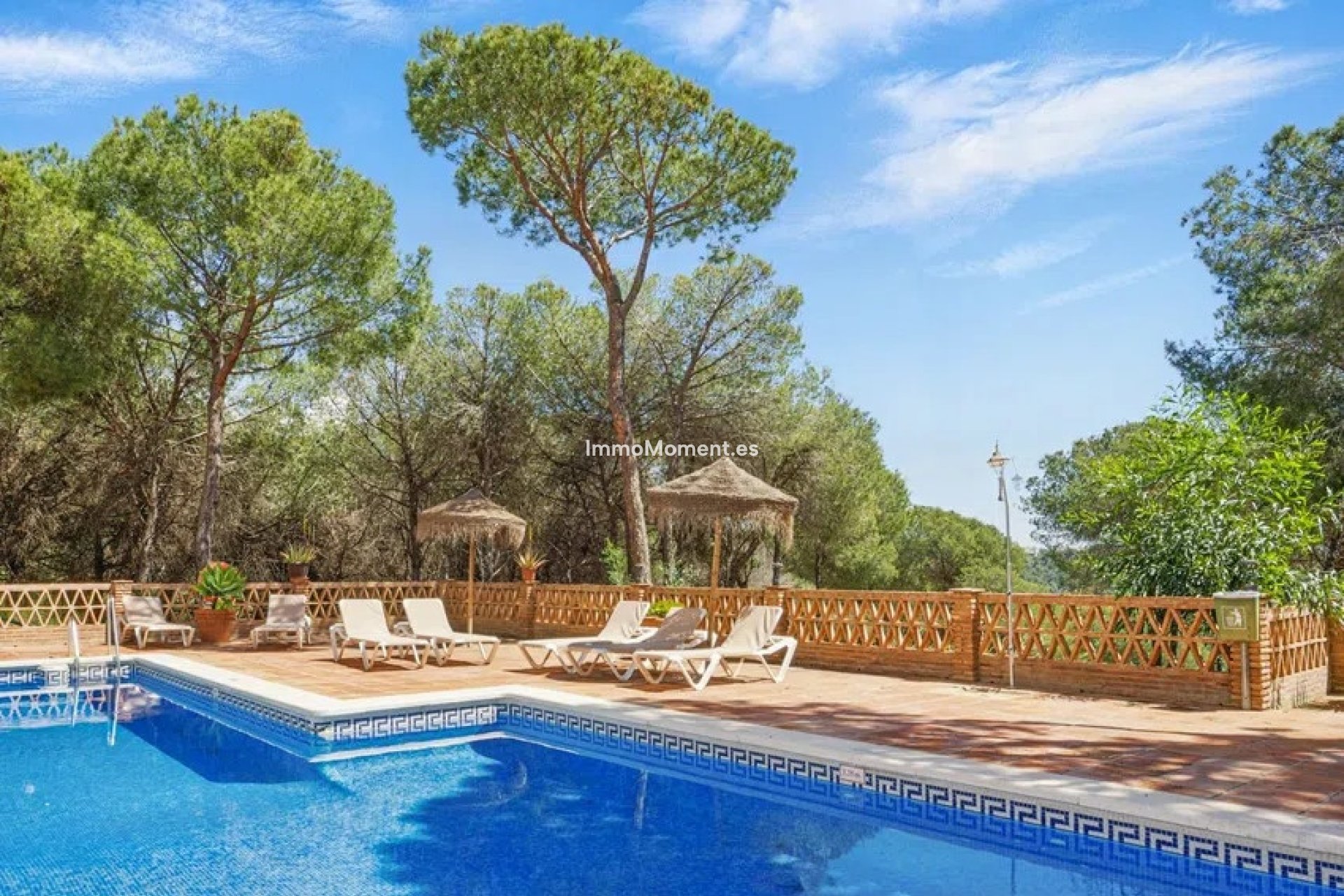 Revente - Appartement - Marbella - Nueva Andalucía