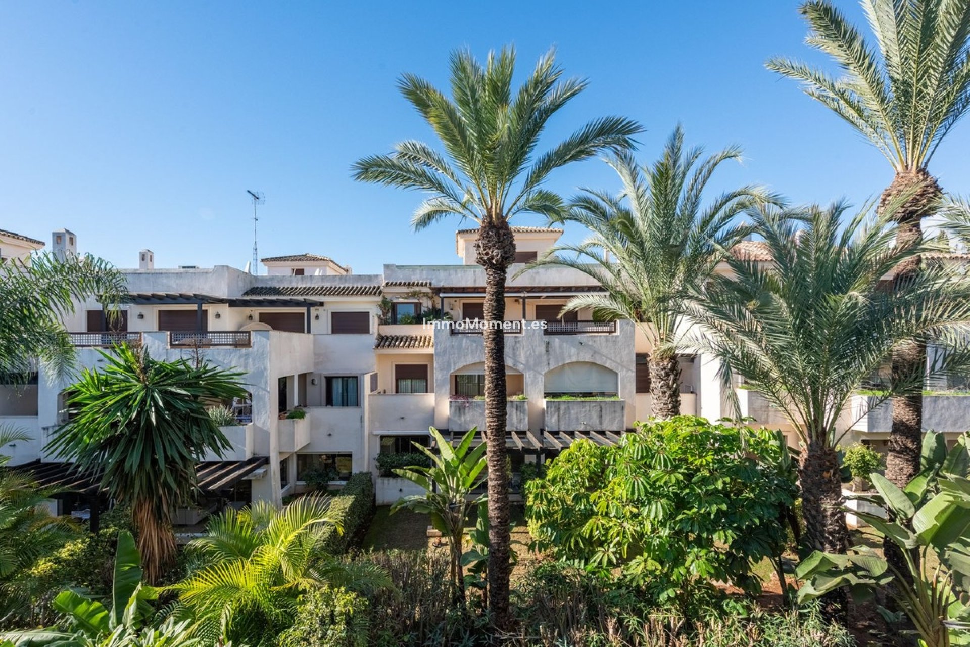 Revente - Appartement - Marbella - Nueva Andalucía