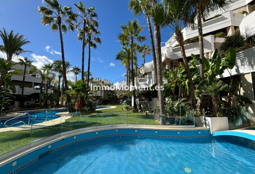 Revente - Appartement - Marbella - Nueva Andalucía