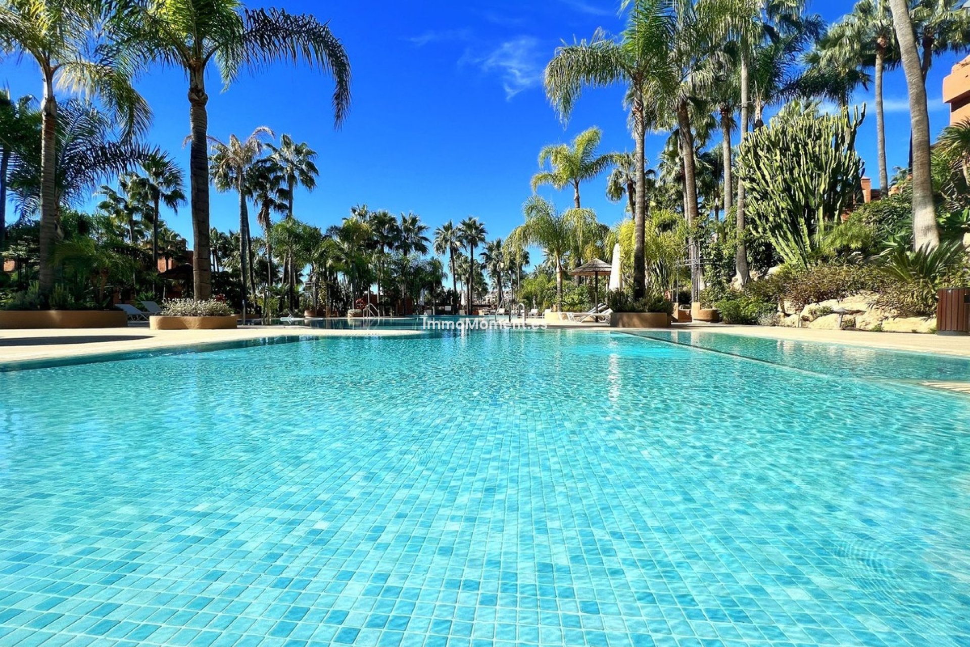 Revente - Appartement - Marbella - Nueva Andalucía